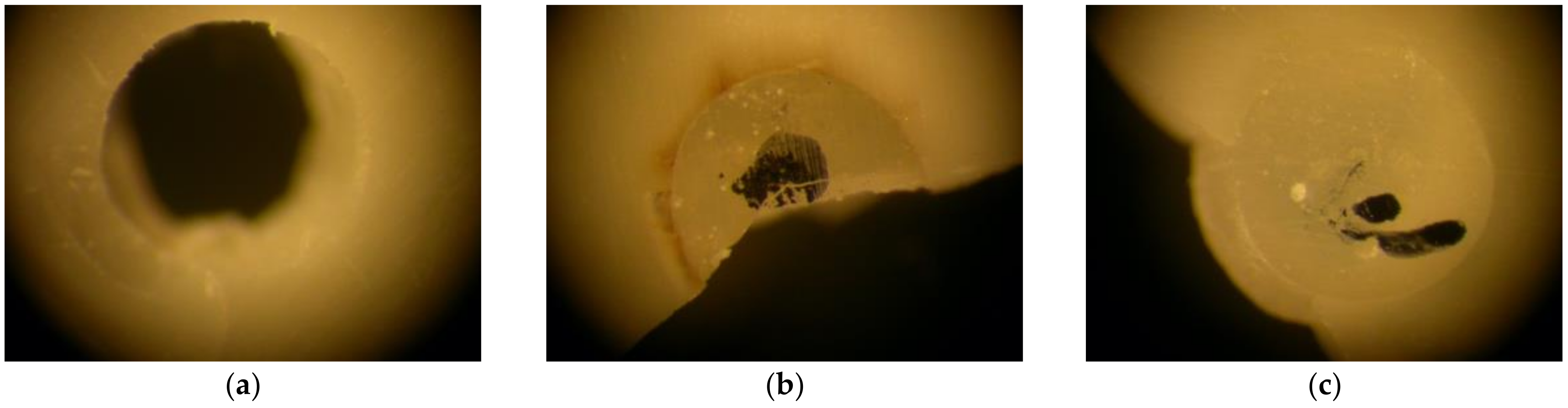 Applsci 12 02964 g001 Applsci 12 02964 g001