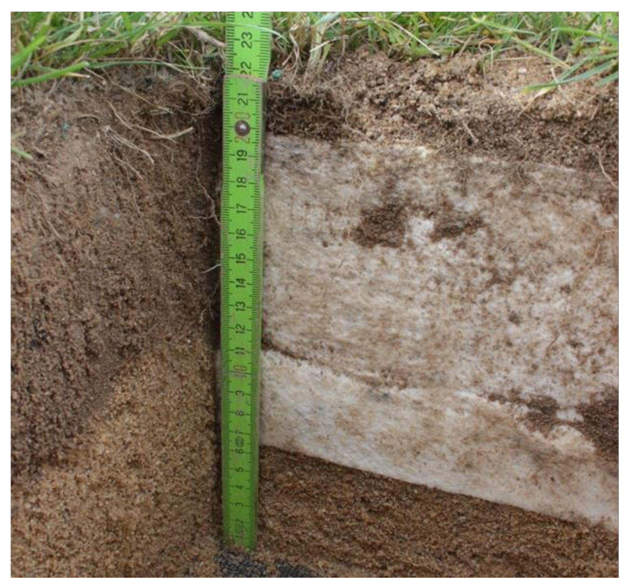 Applsci 12 02966 g003 550