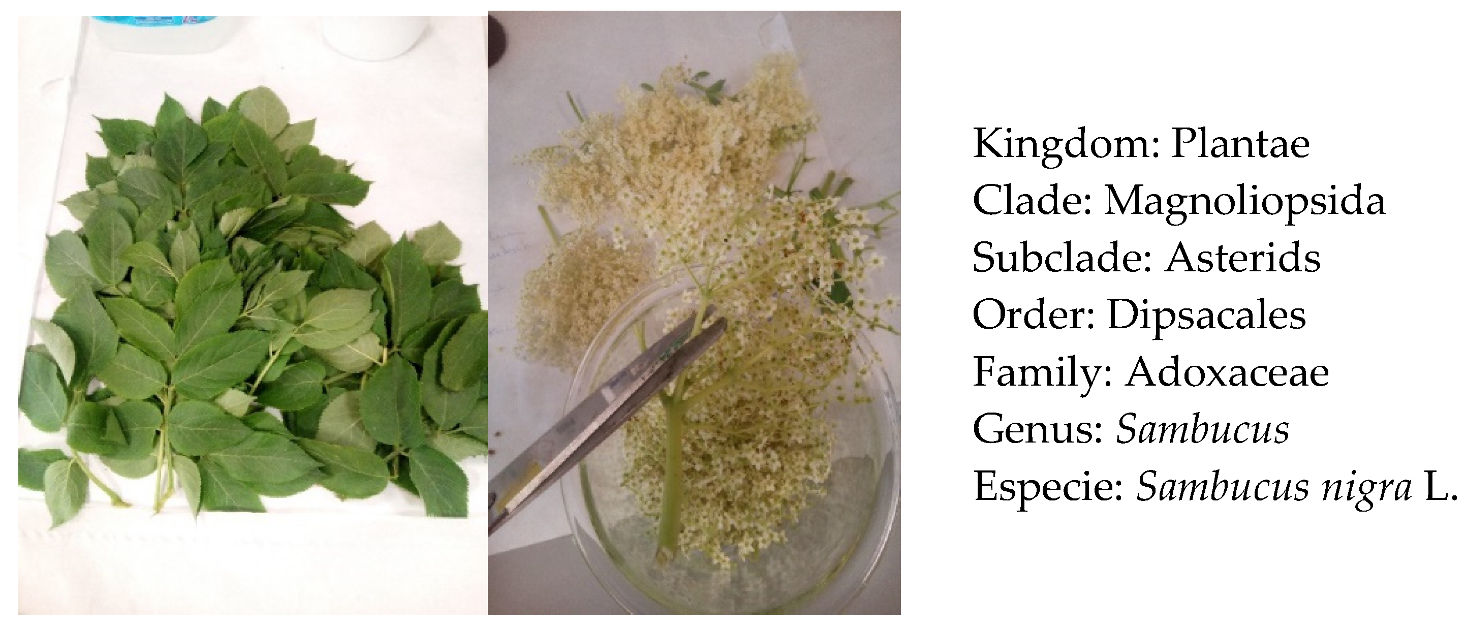 Applsci 12 02996 g001 550