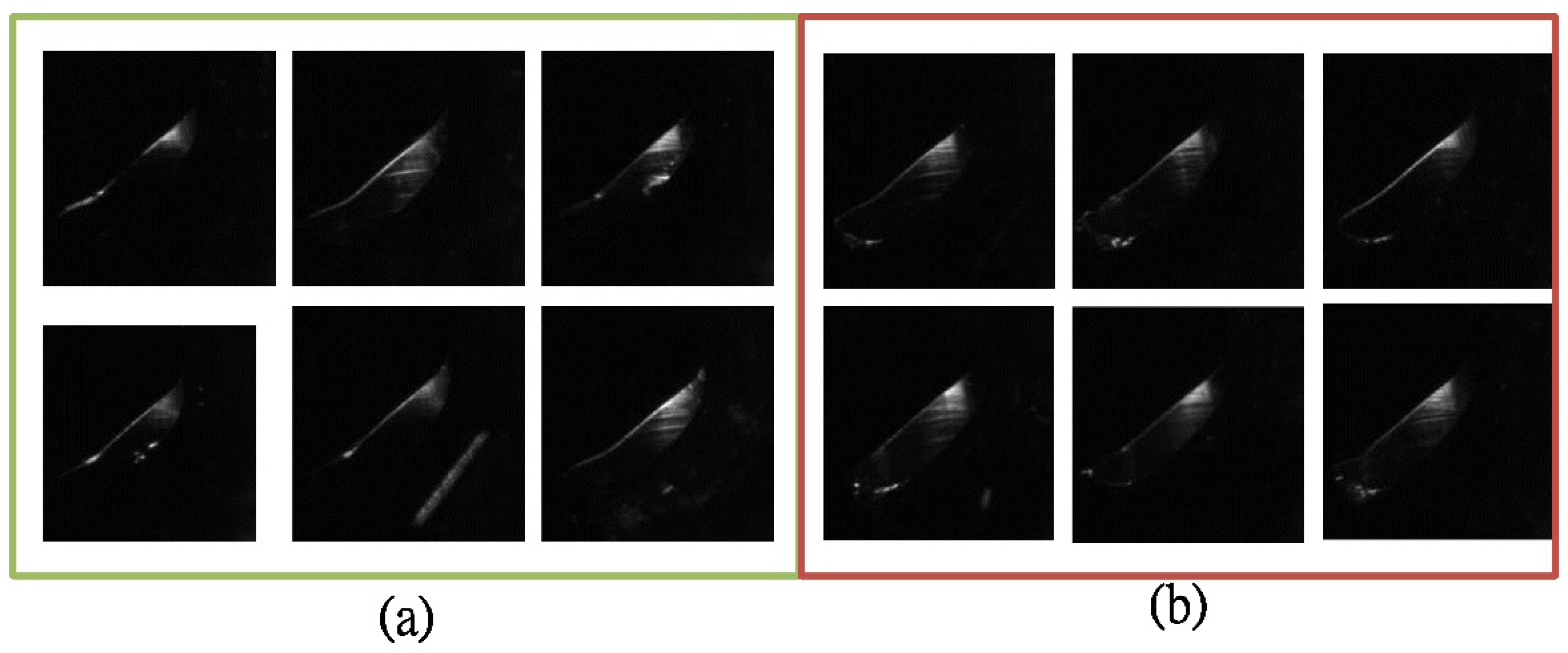 Applsci 12 03014 g006 550