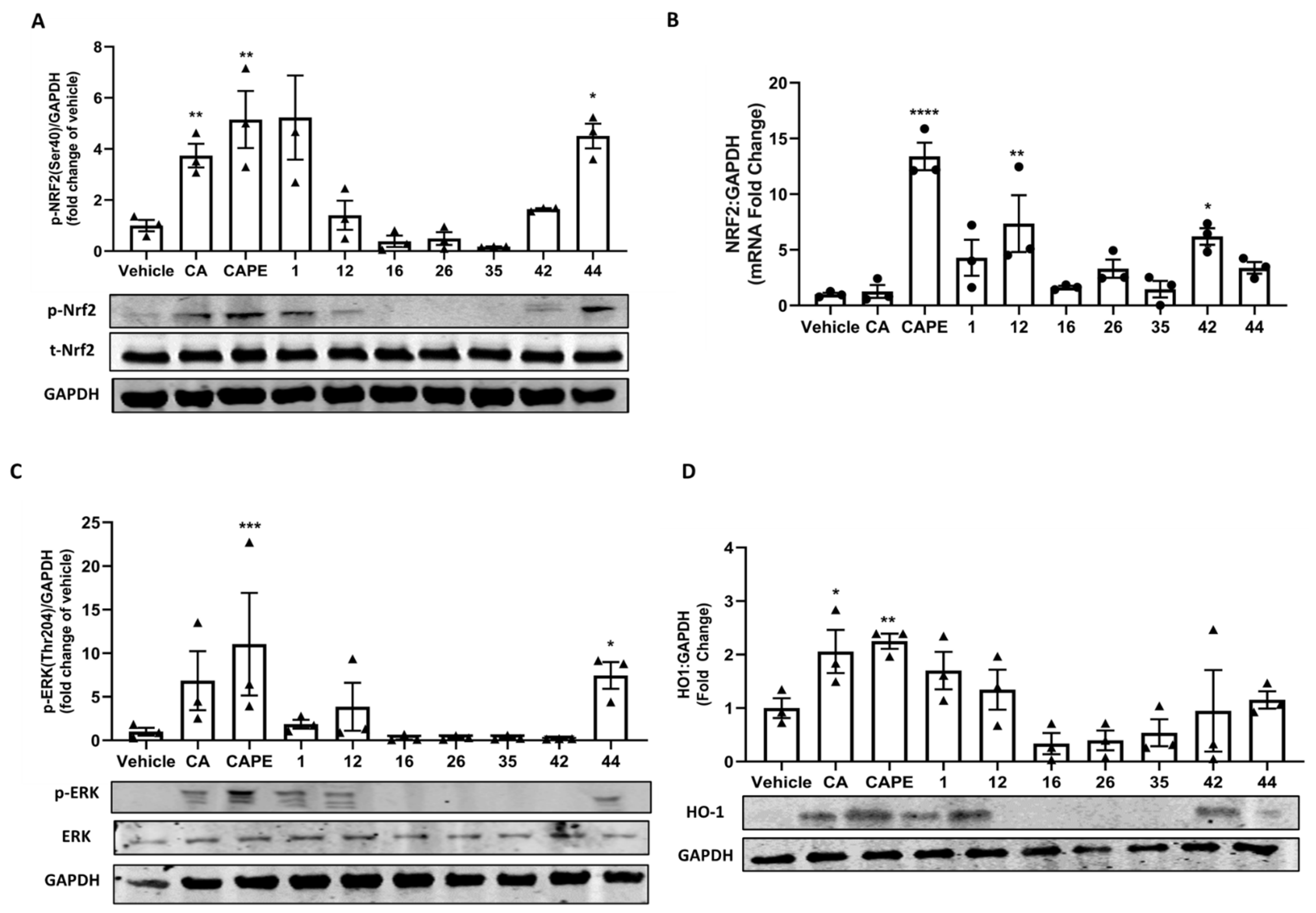 Applsci 12 03062 g005 550