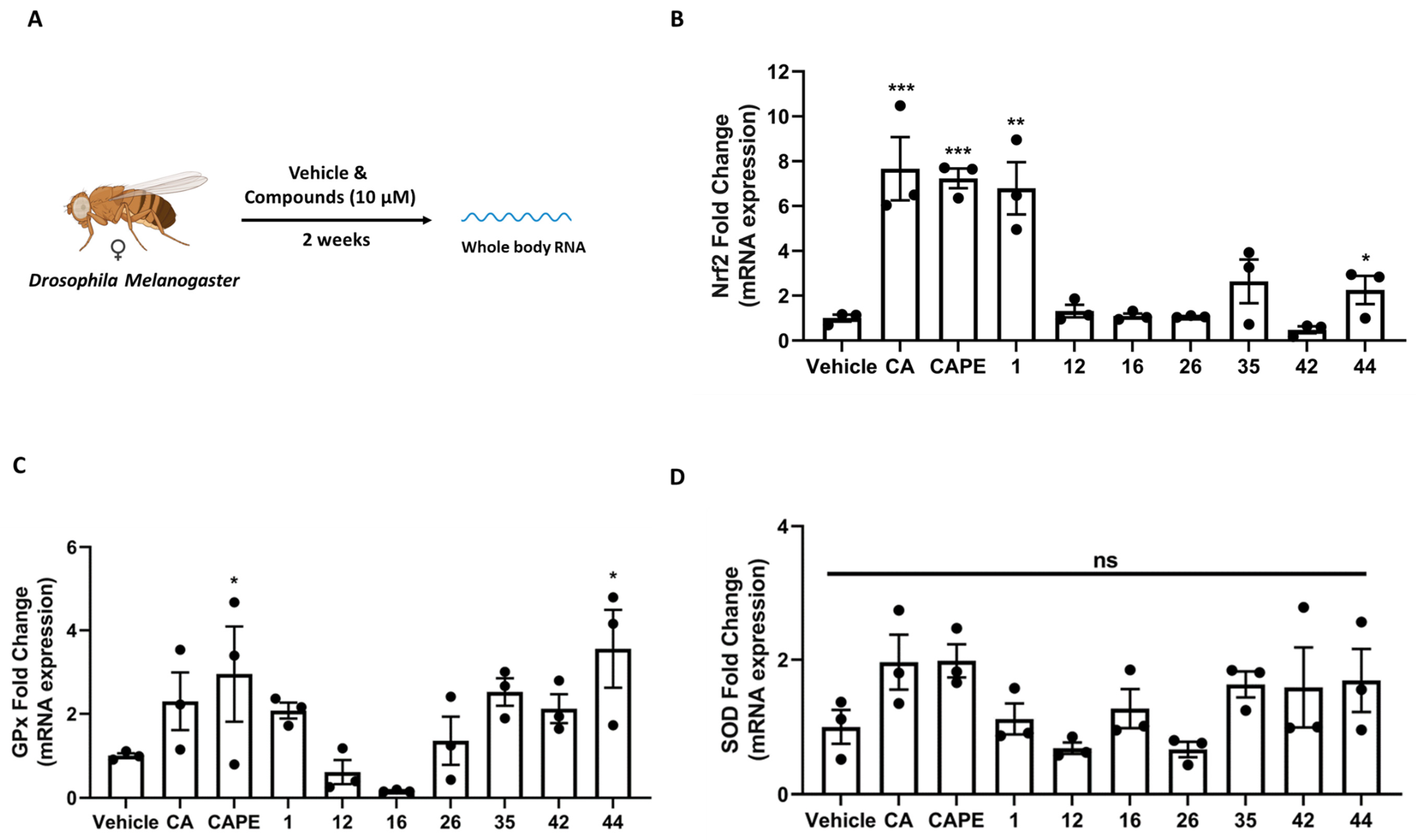 Applsci 12 03062 g006 550