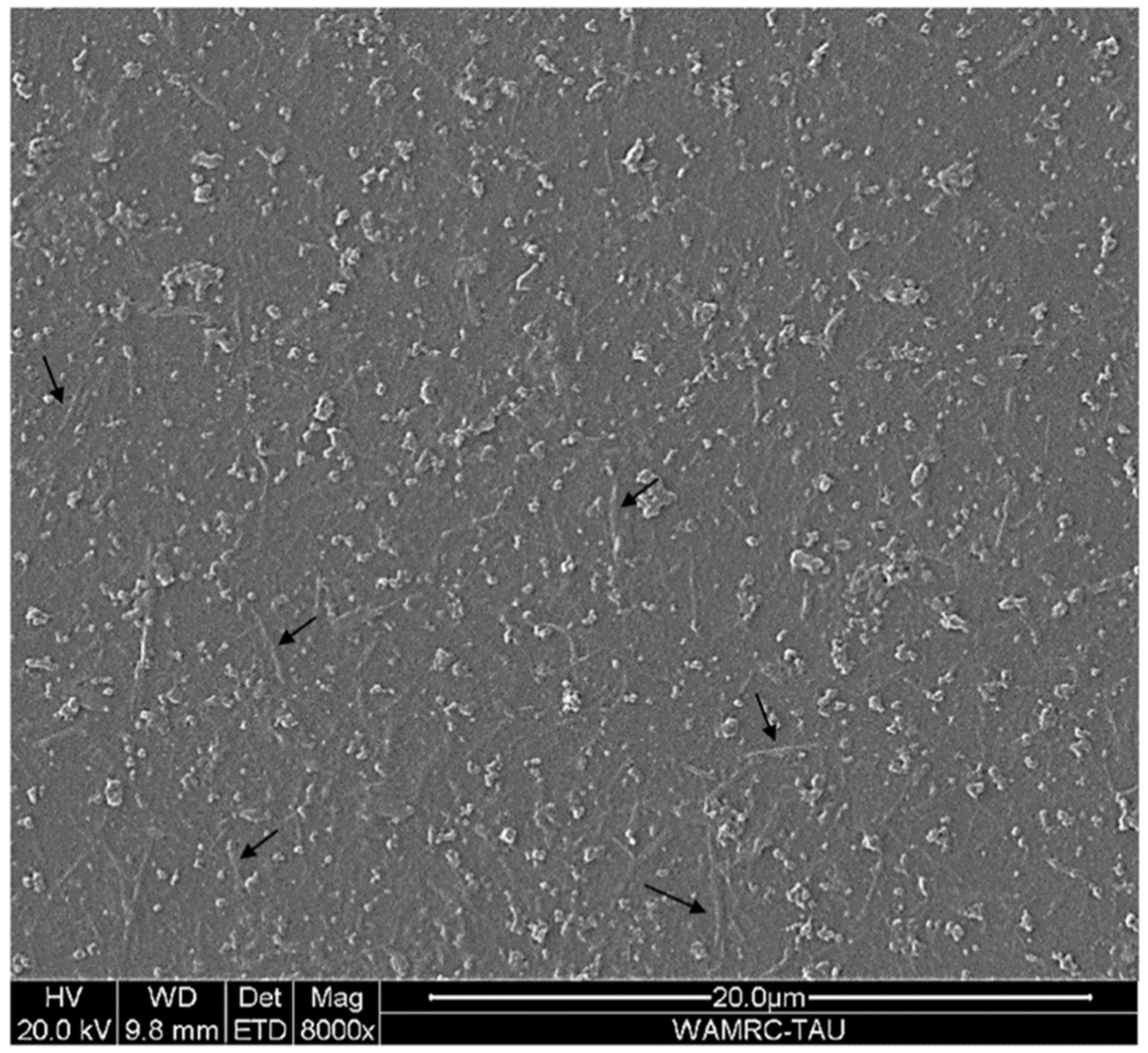 Applsci 12 03077 g008