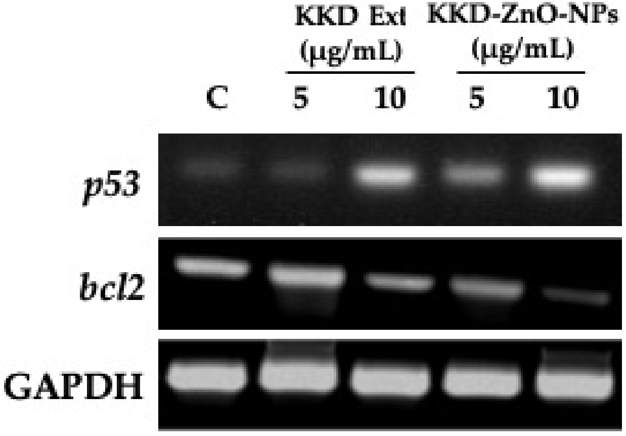 Applsci 12 03081 g009