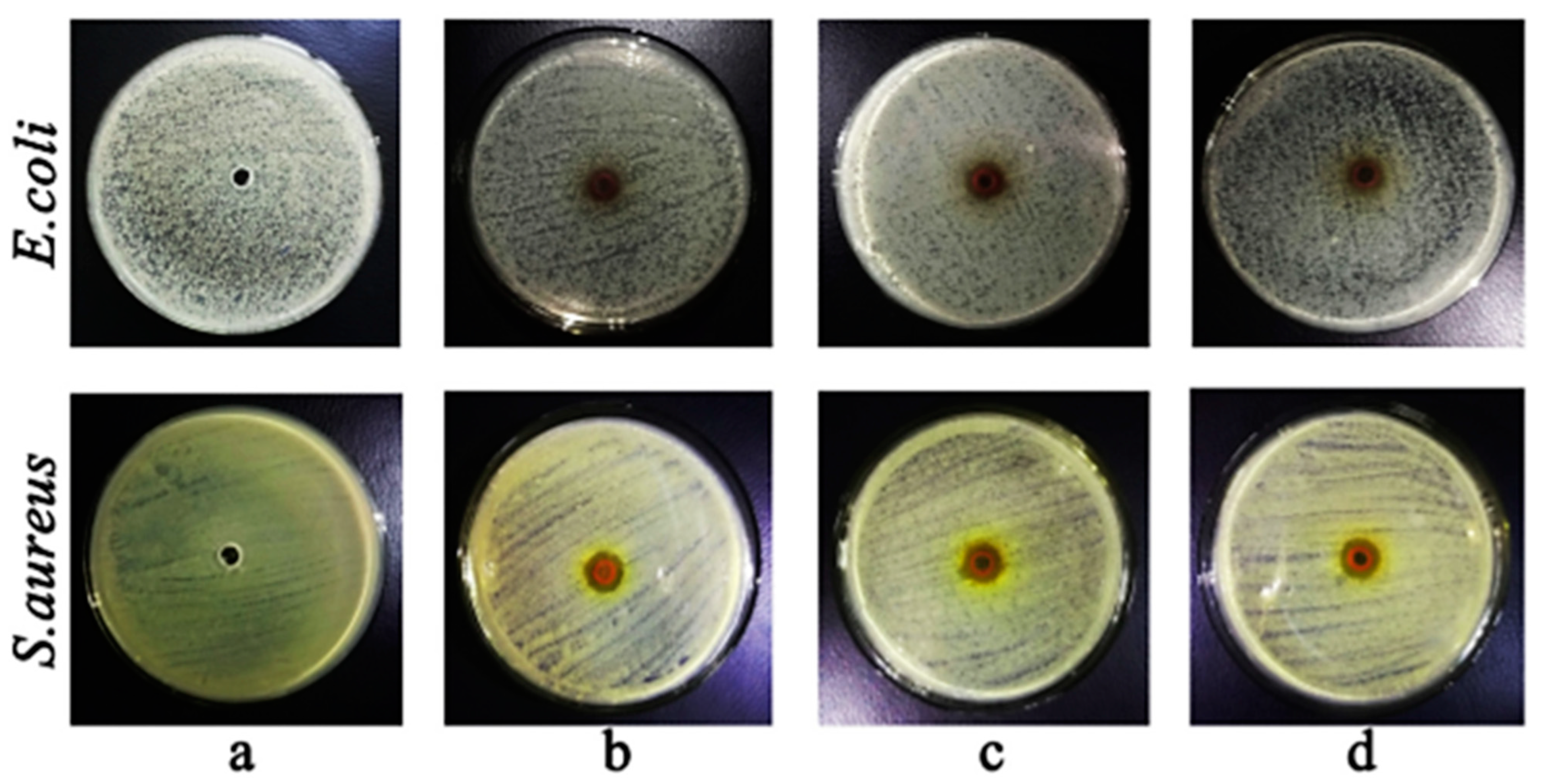 Applsci 12 03091 g004 550