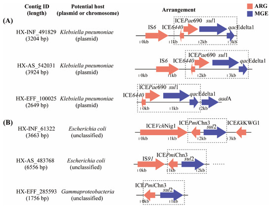 菅原 菅原咲月 乃木坂46 ライブT 東京 サマージャケットSpecial 9種 乃木坂46生