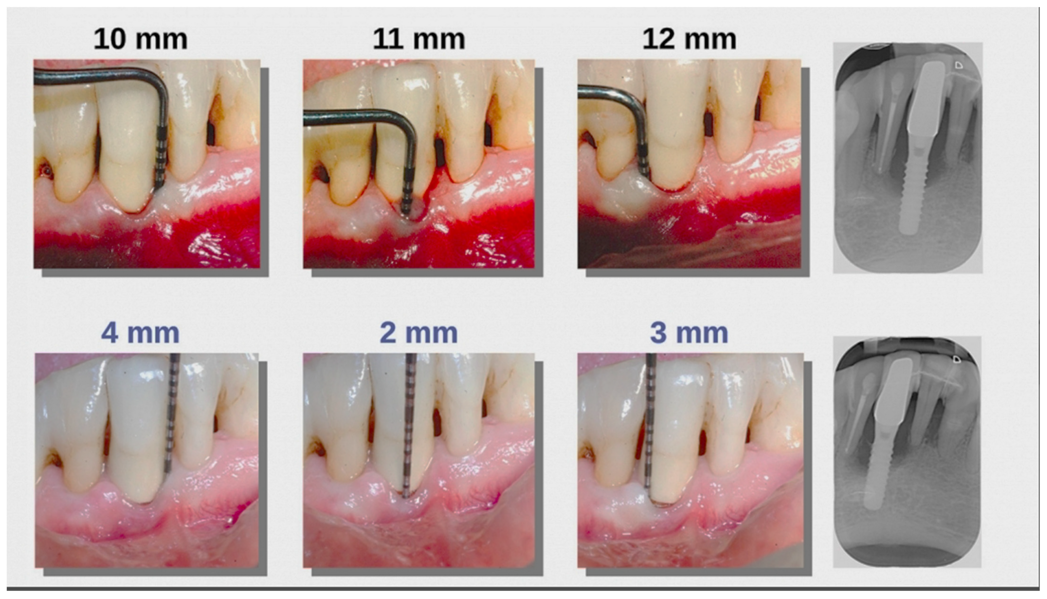 Applsci 12 03102 g003 Applsci 12 03102 g003