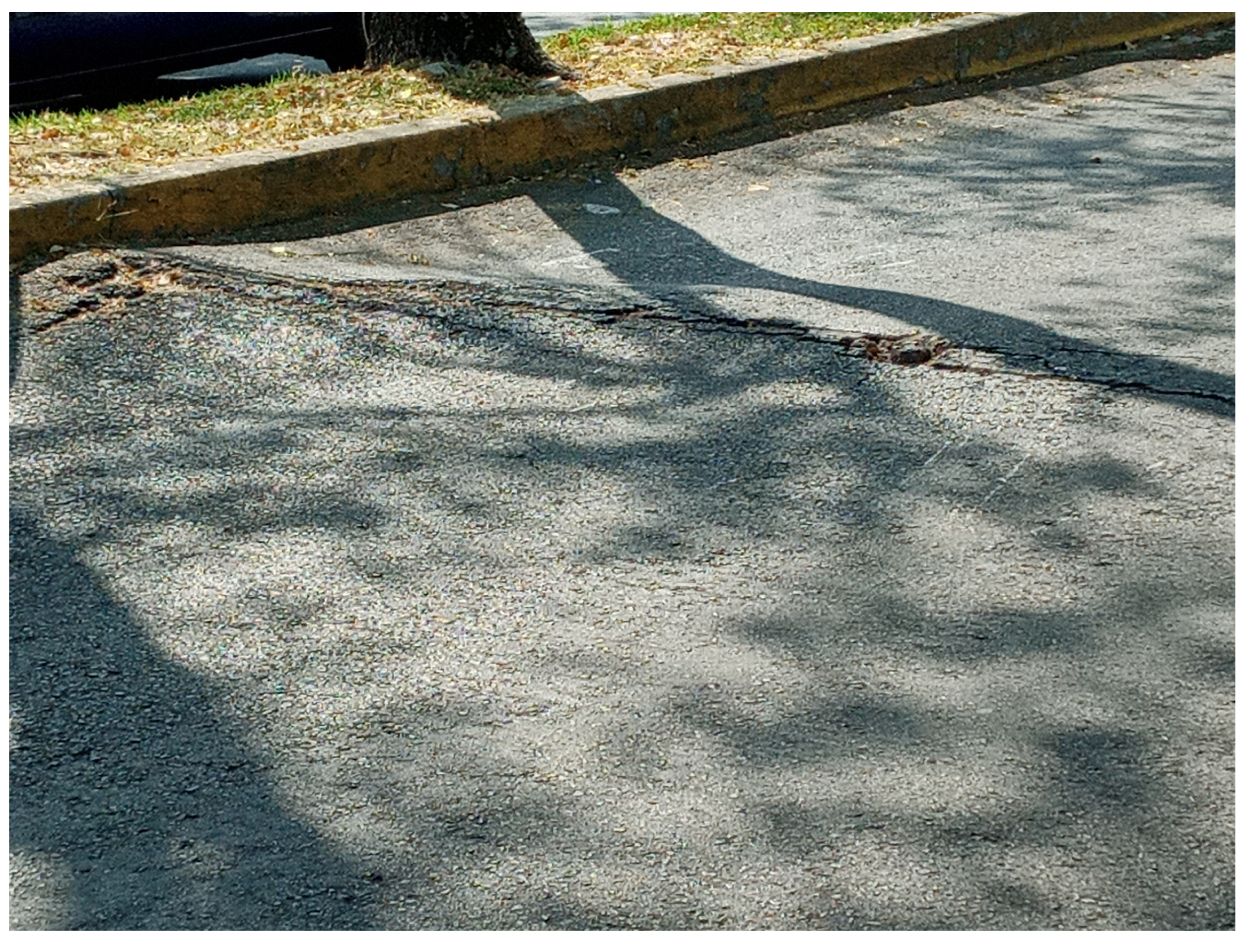 Applsci 12 03109 g003 550