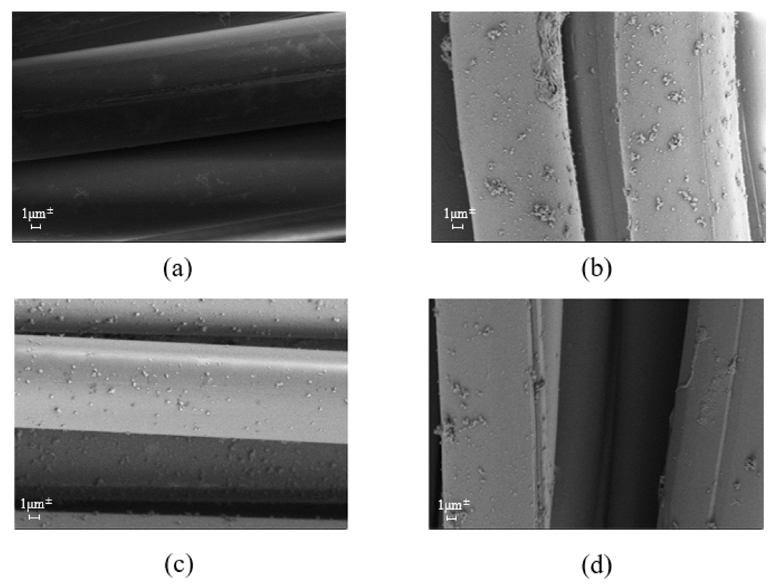 Applsci 12 03119 g011 550