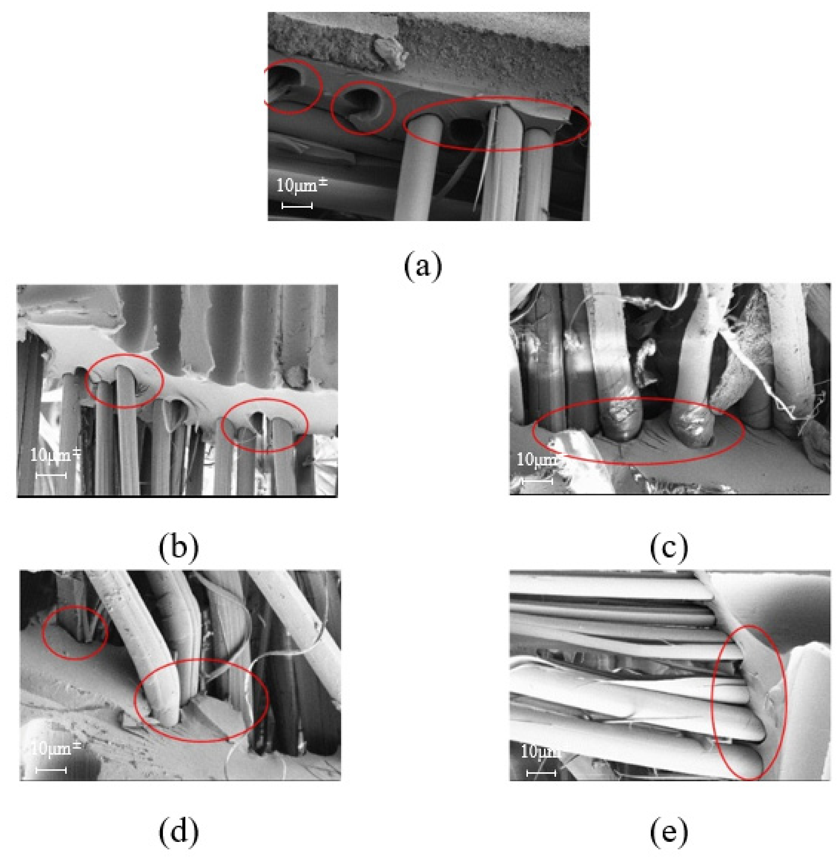 Applsci 12 03119 g012 550