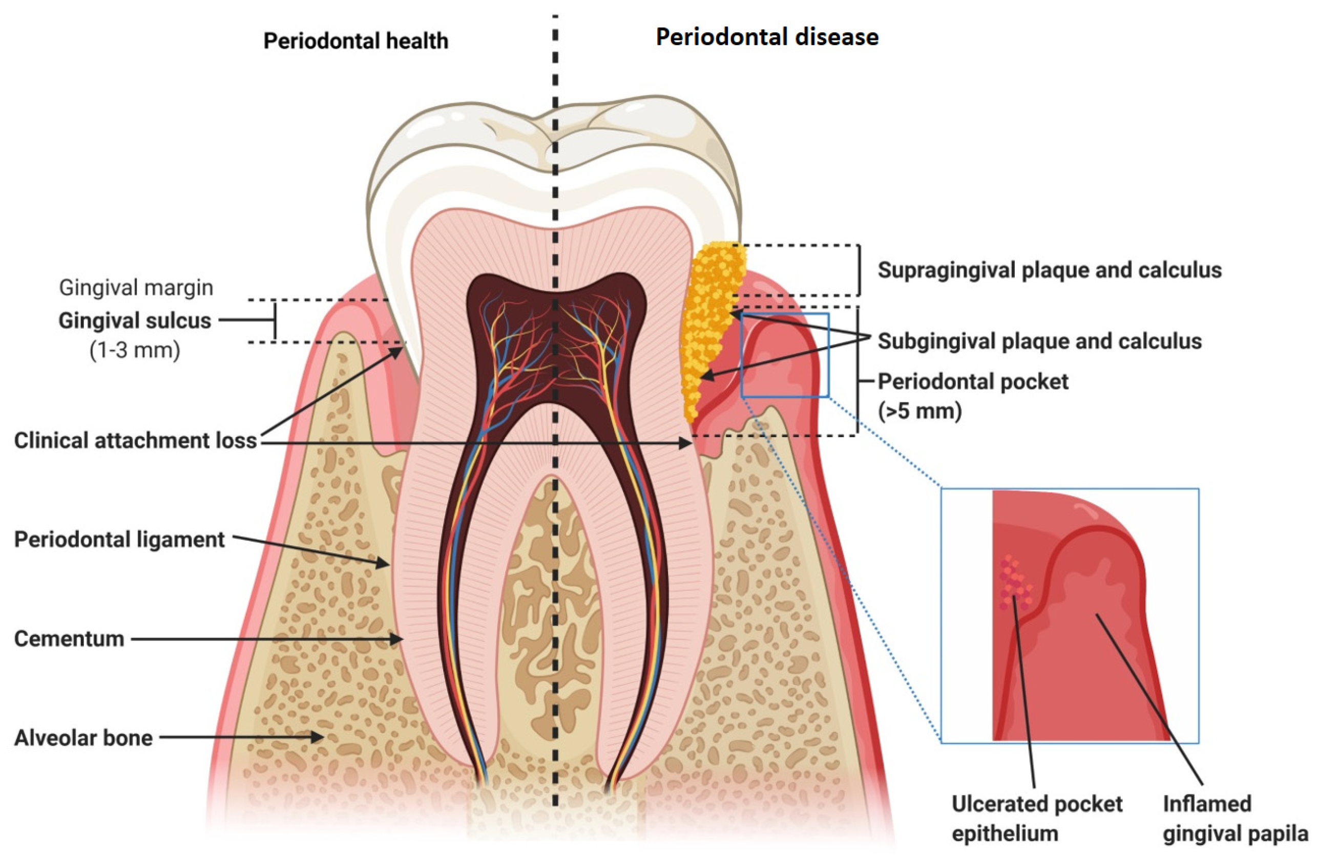 Applsci 12 03131 g002 550