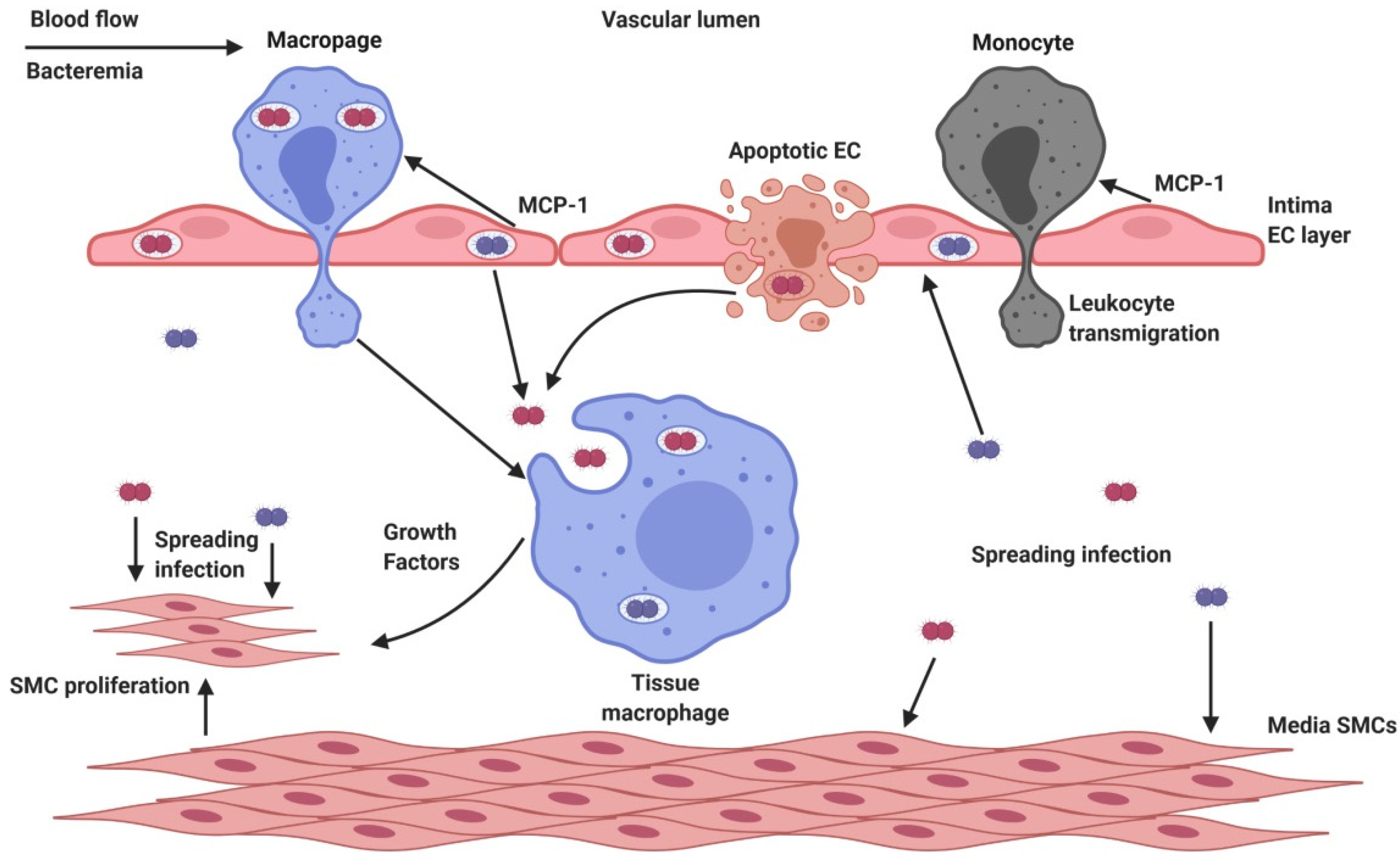 Applsci 12 03131 g003 550