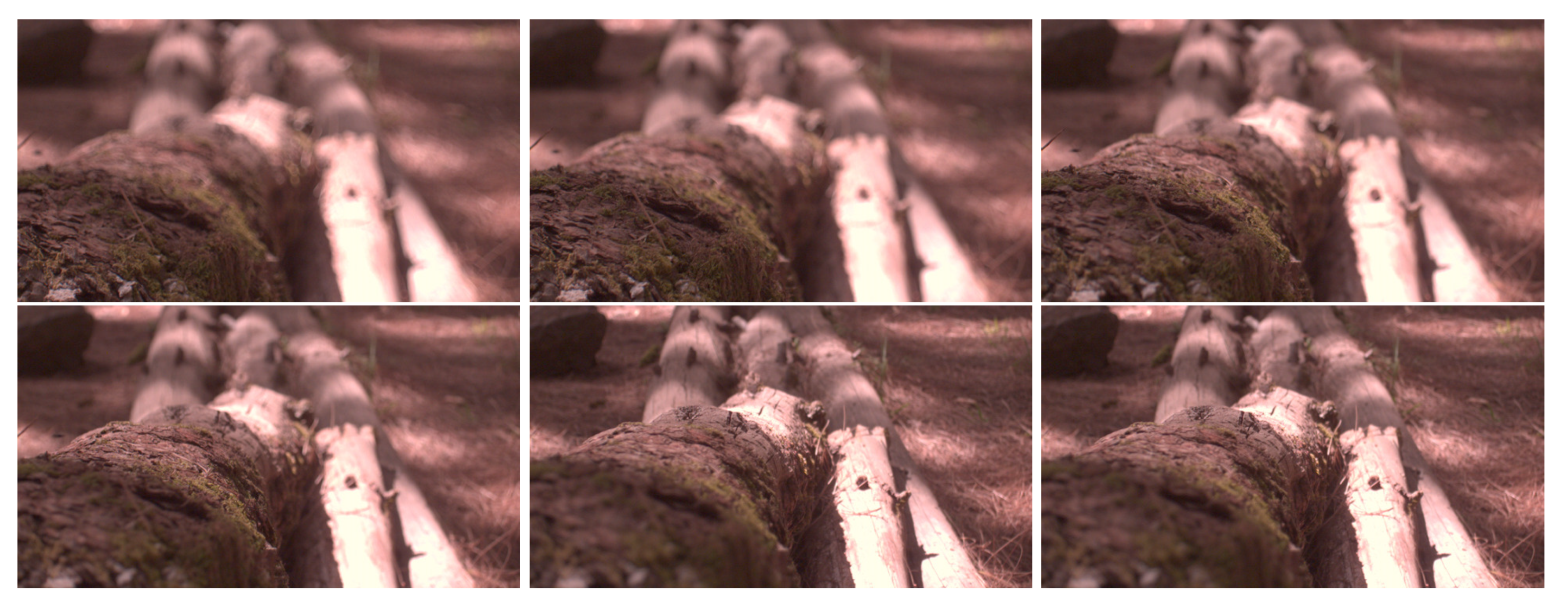 Applsci 12 03141 g007