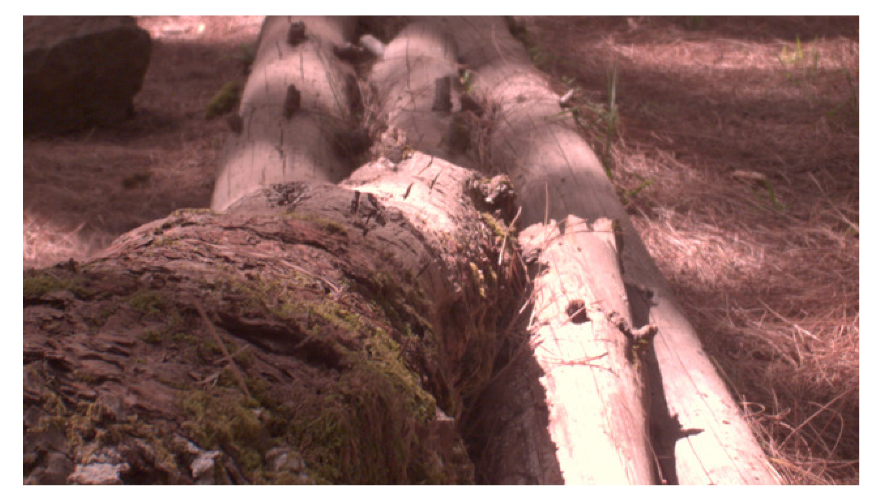 Applsci 12 03141 g008