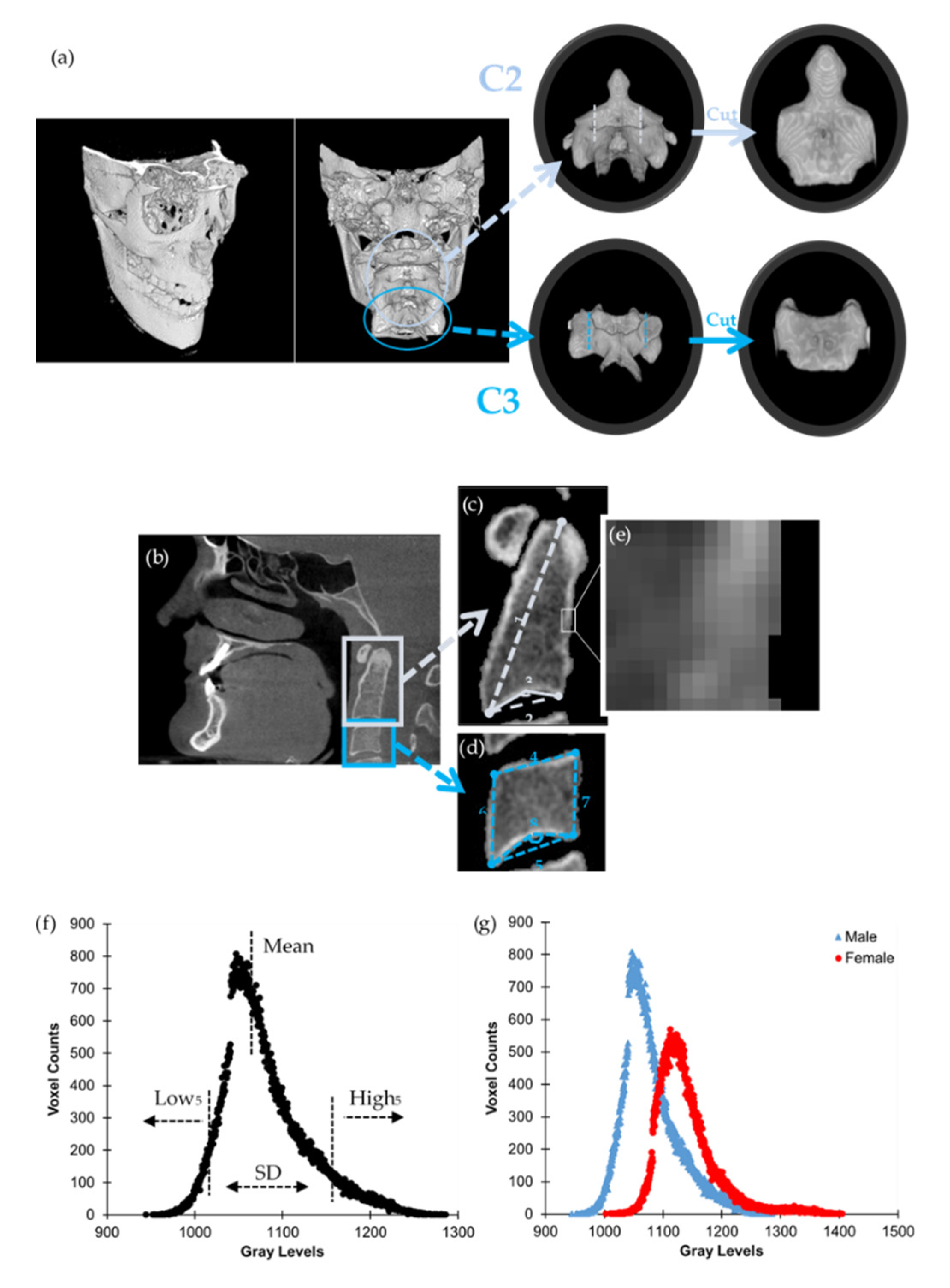 Applsci 12 03143 g002