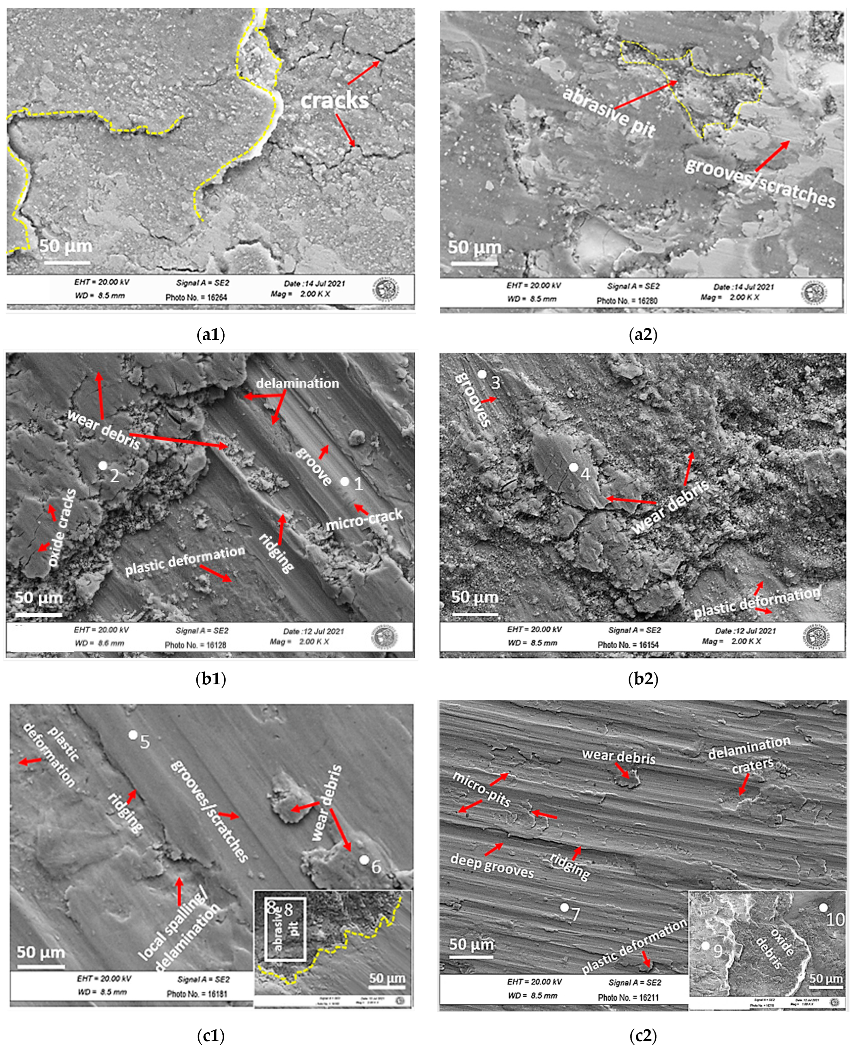 Applsci 12 03156 g013