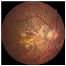 Applsci 12 03190 i004