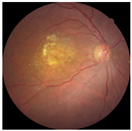 Applsci 12 03190 i005