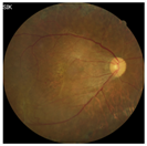 Applsci 12 03190 i006