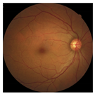 Applsci 12 03190 i010