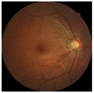 Applsci 12 03190 i011