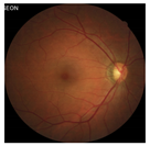 Applsci 12 03190 i012