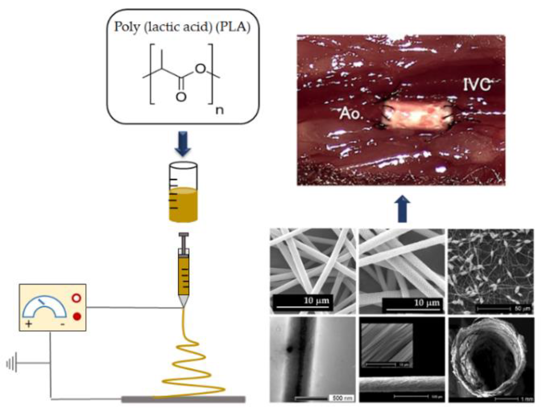 Applsci 12 03192 g001