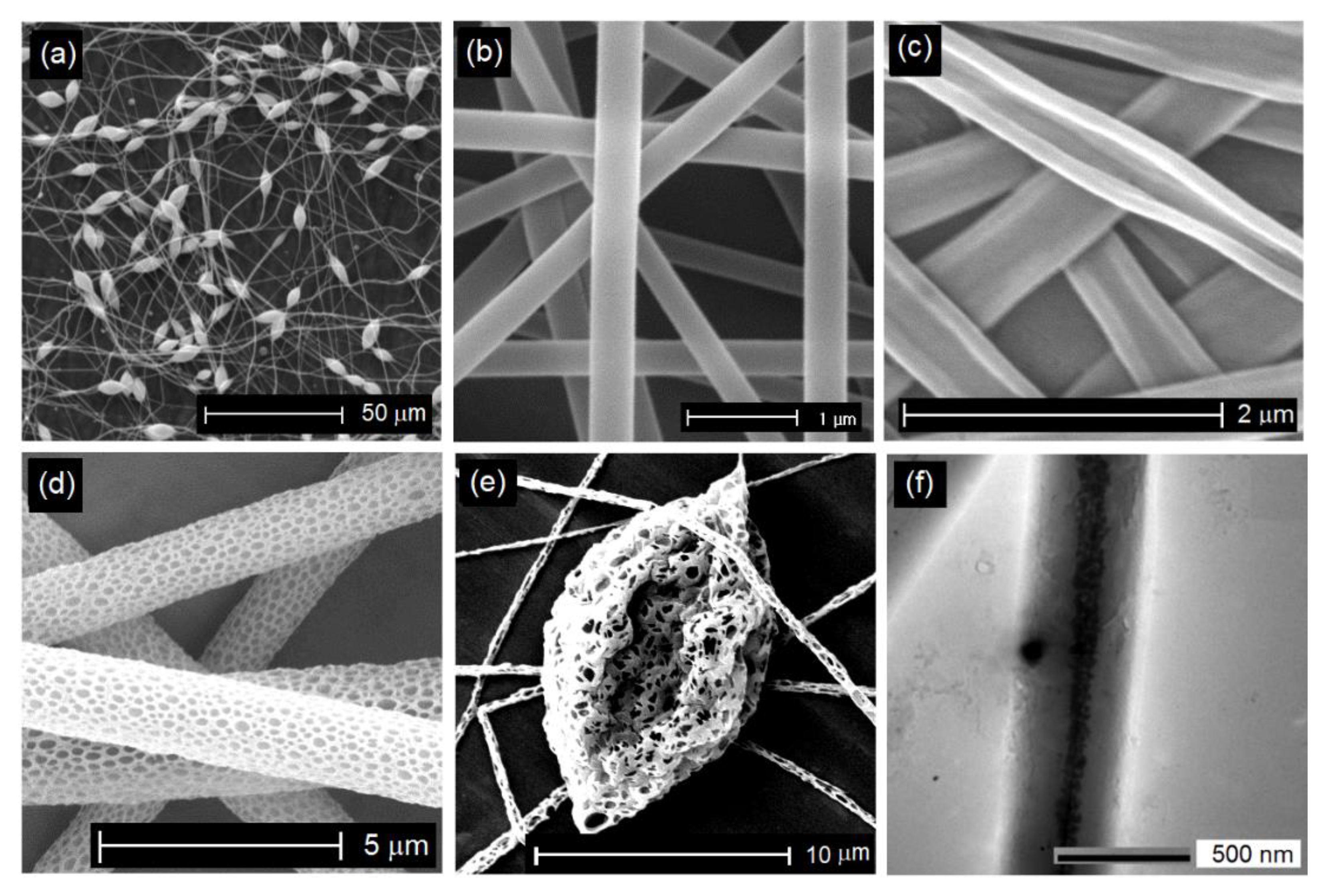 Applsci 12 03192 g006