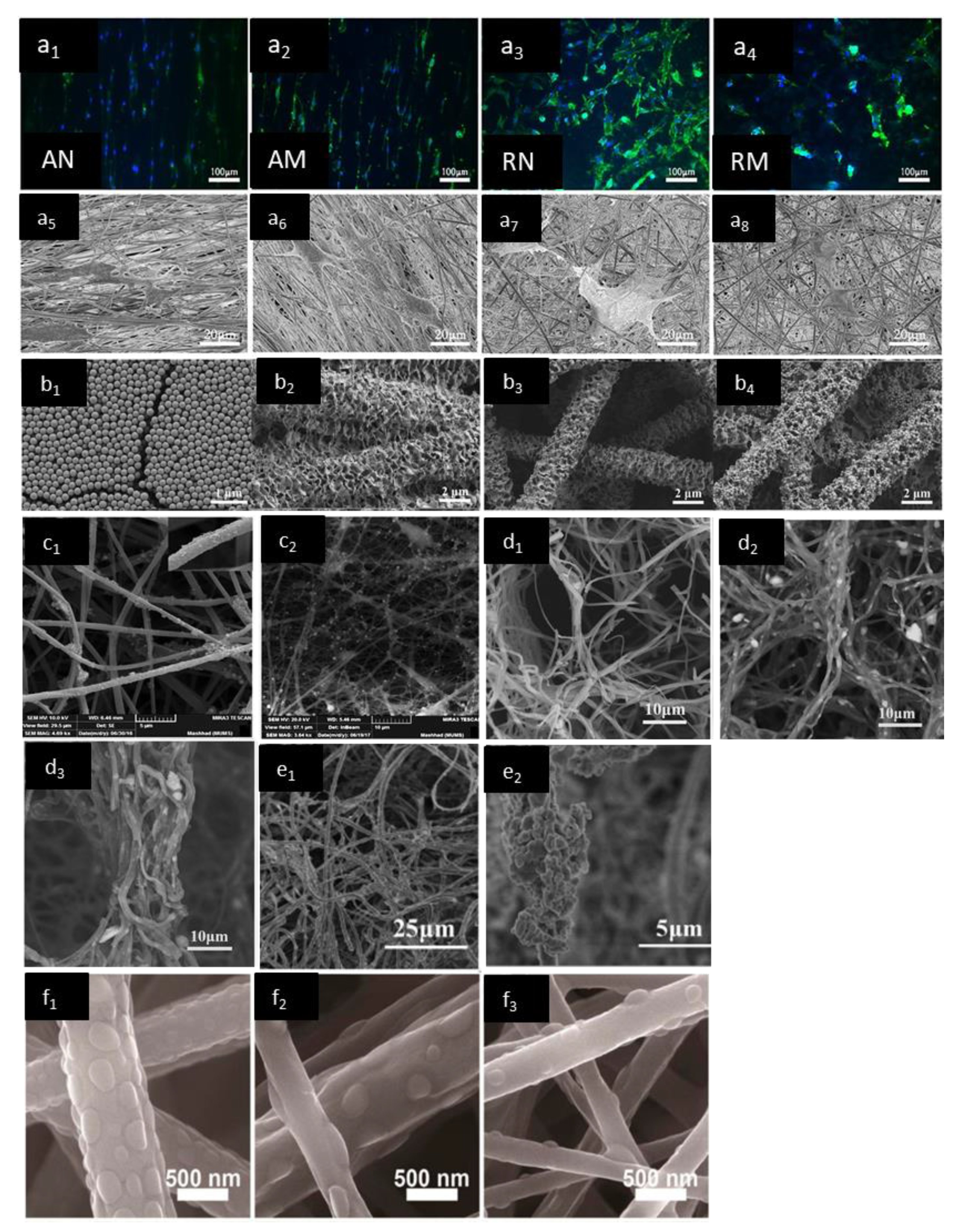 Applsci 12 03192 g016