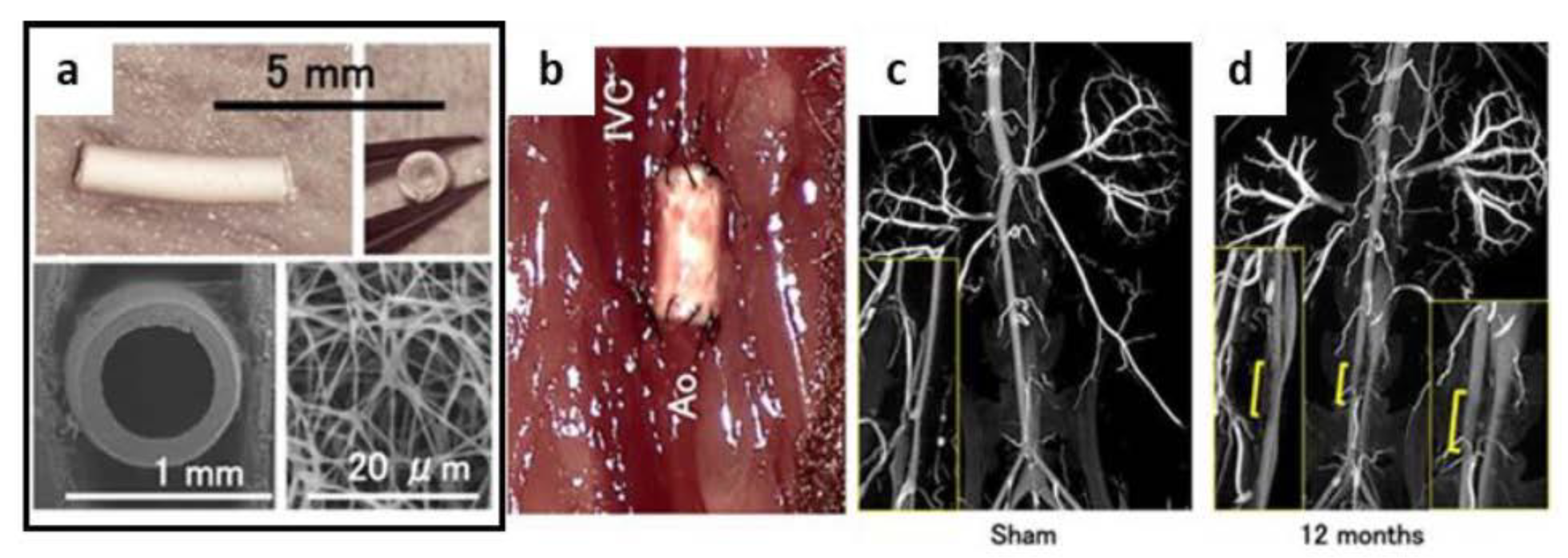 Applsci 12 03192 g017