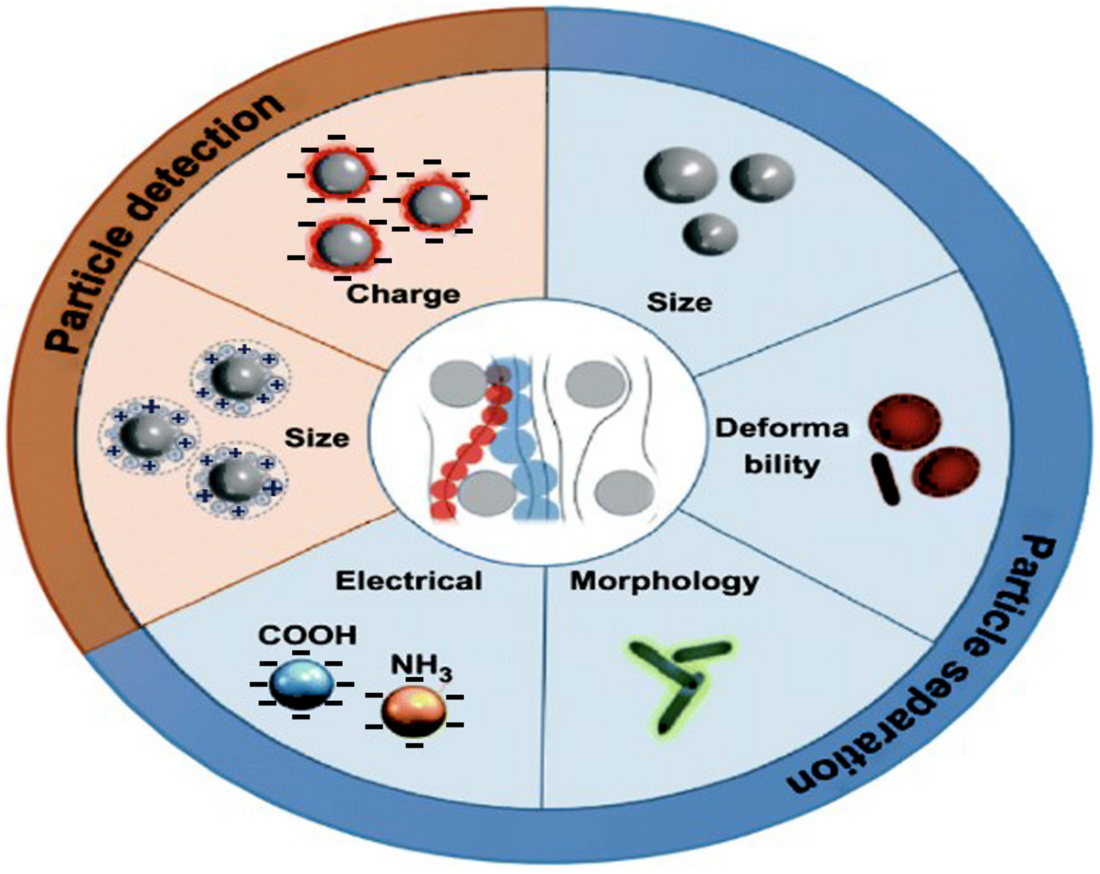Applsci 12 03200 g004 Applsci 12 03200 g004