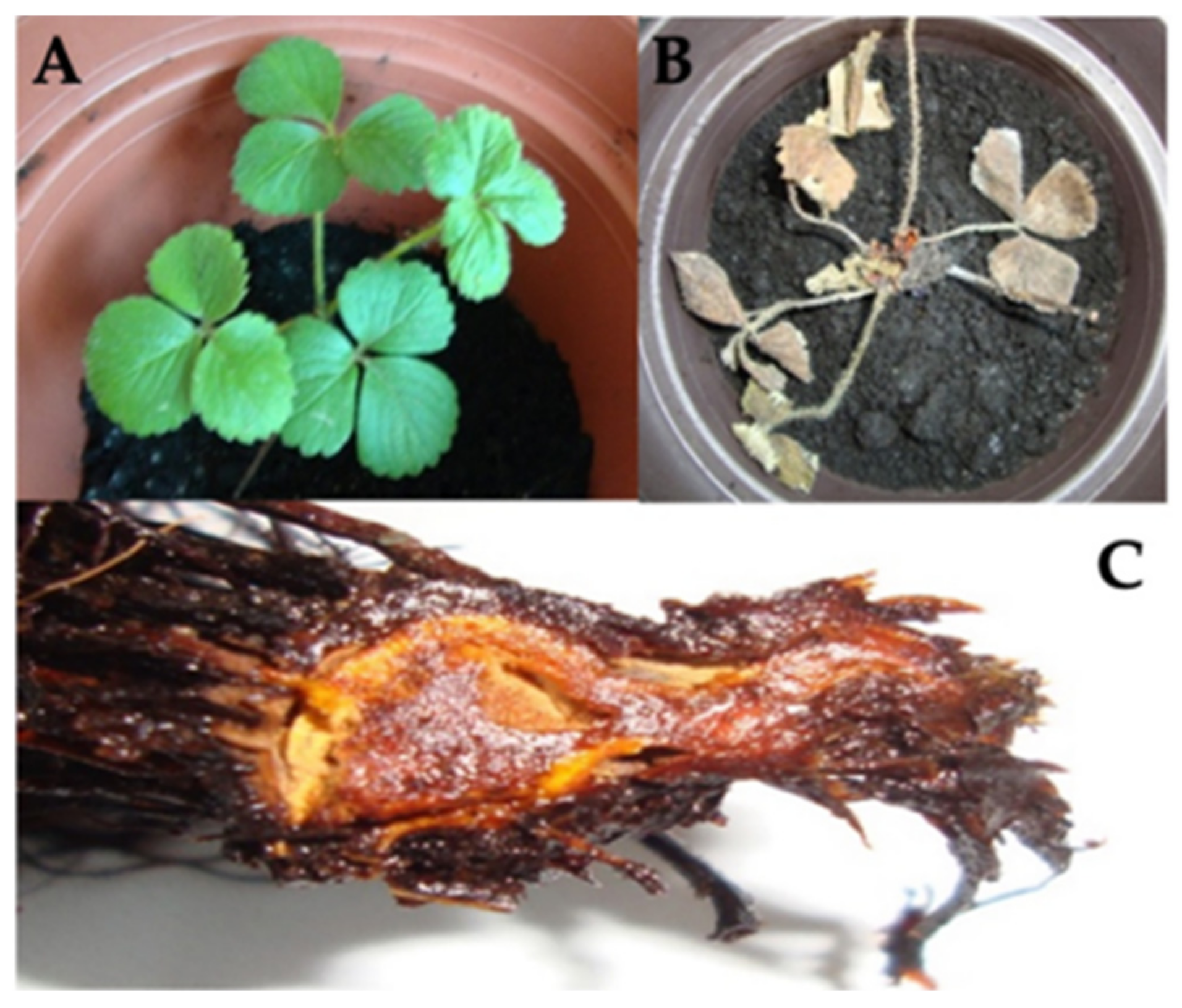 Applsci 12 03213 g003