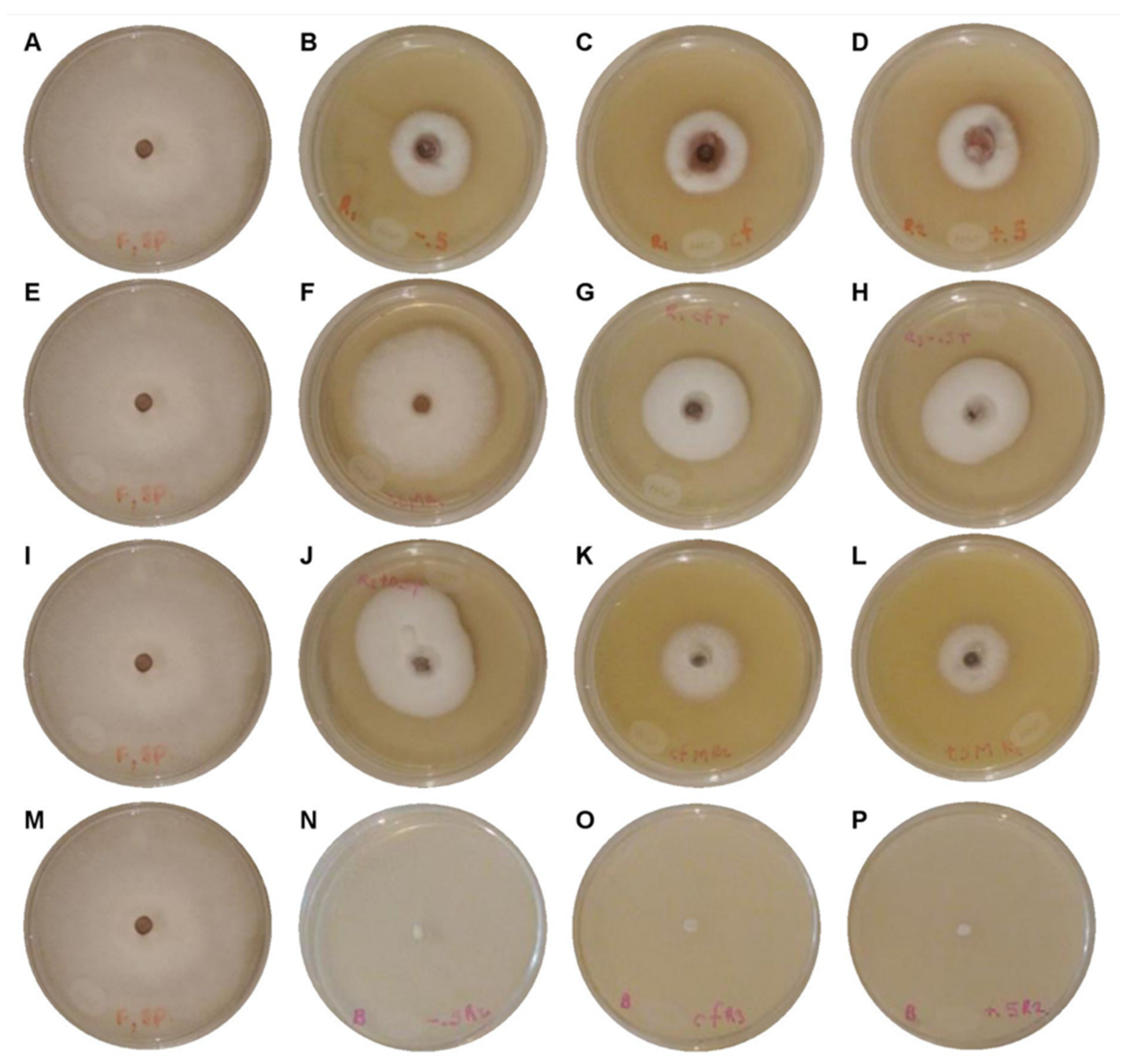 Applsci 12 03213 g004