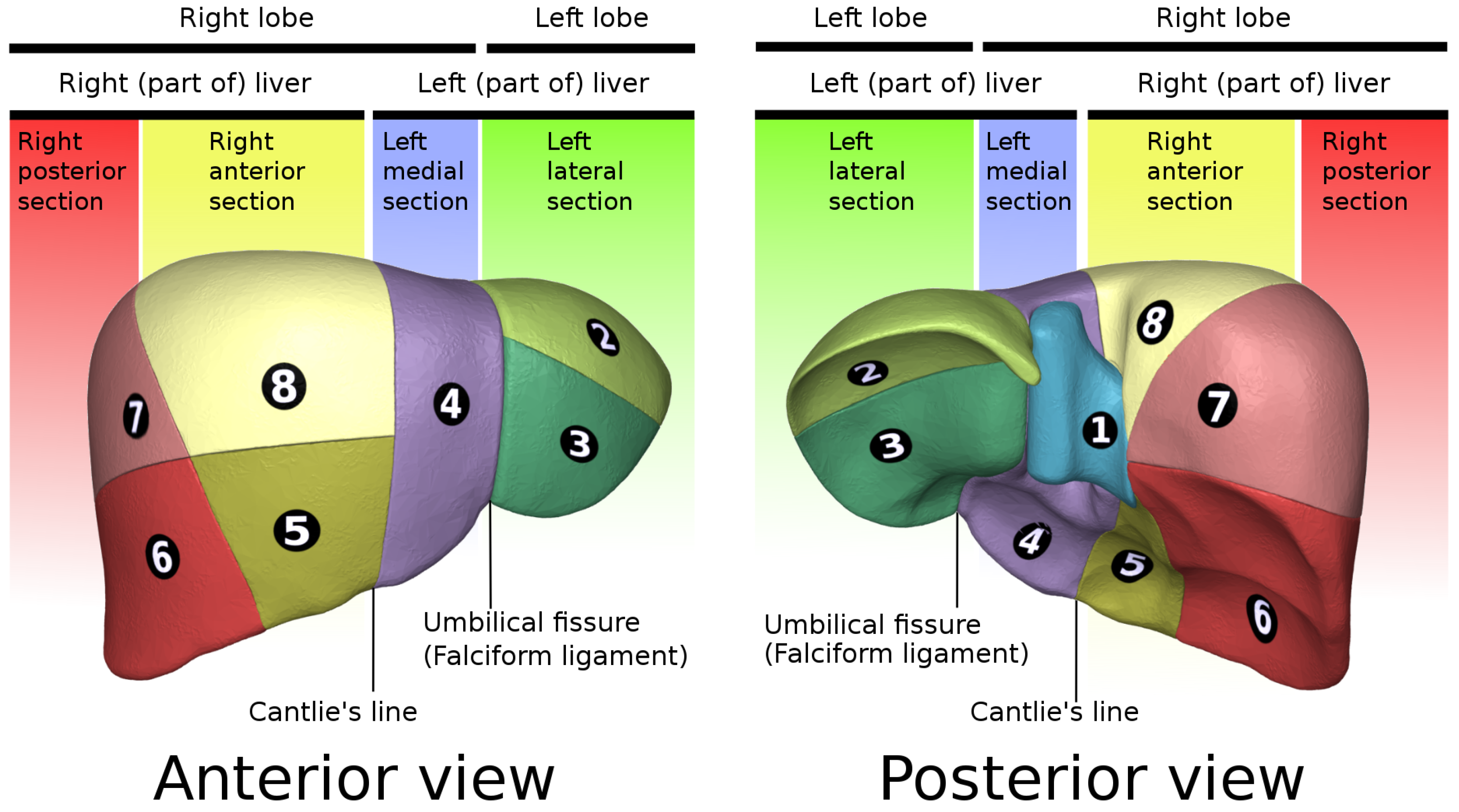 Applsci 12 03247 g004 550