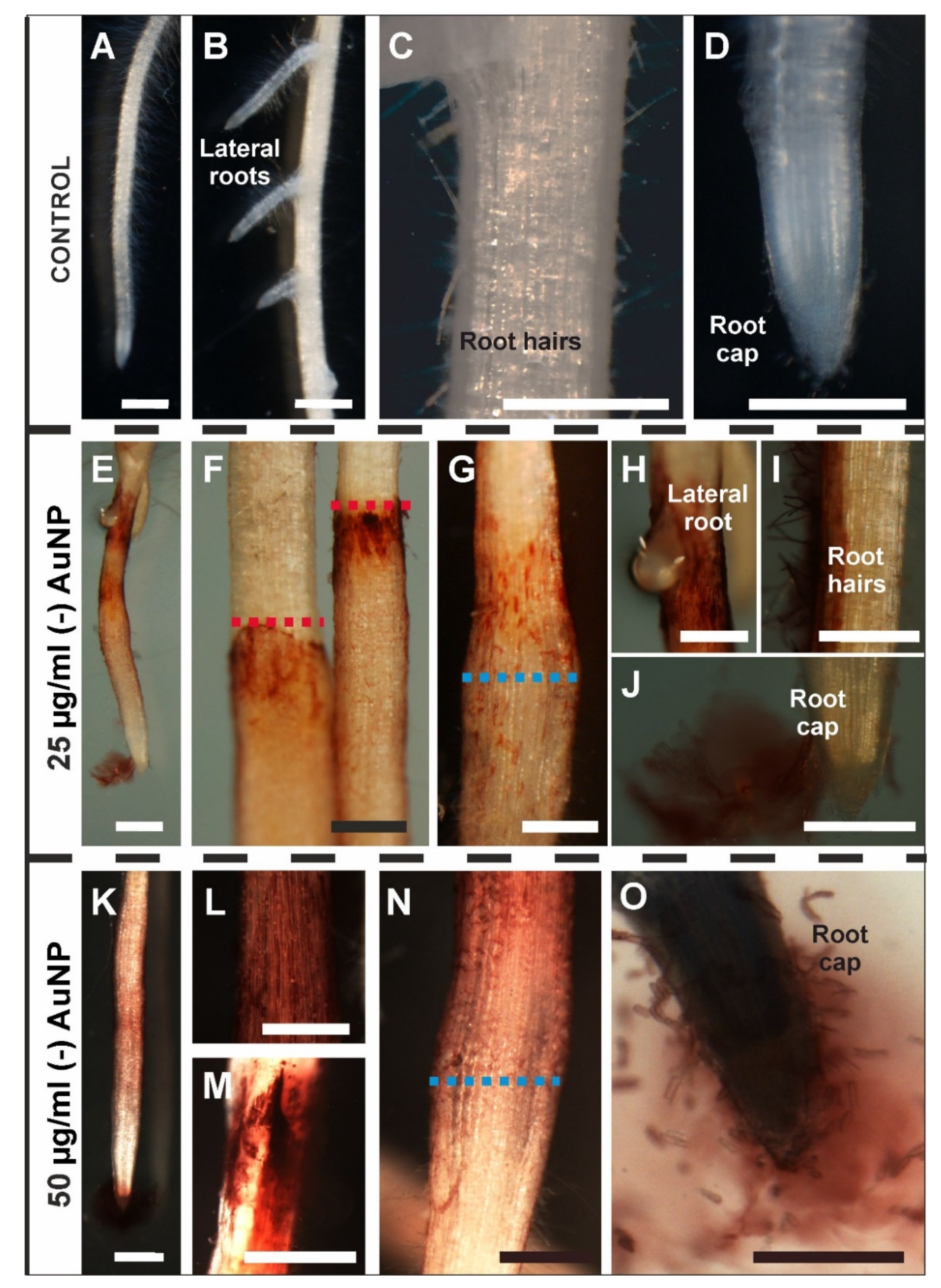 Applsci 12 03265 g001