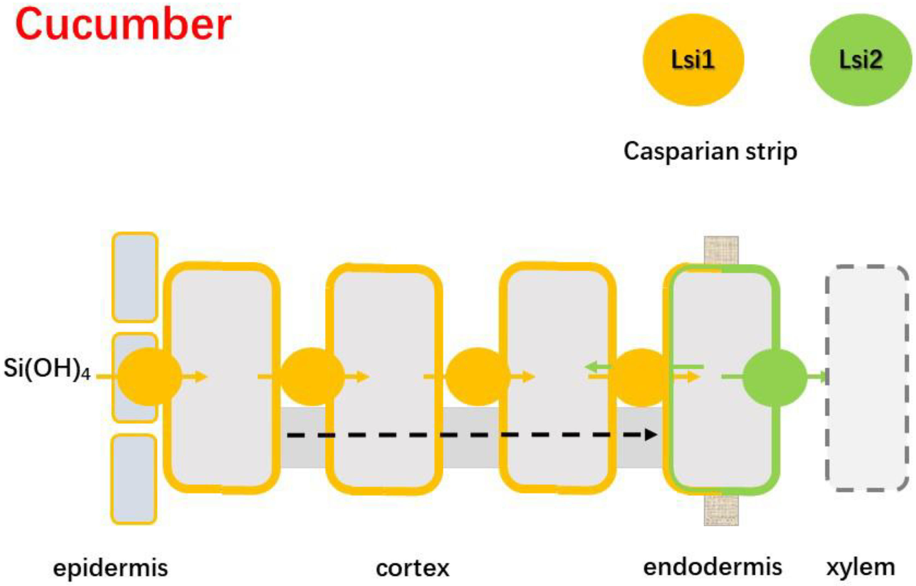 Applsci 12 03282 g003 Applsci 12 03282 g003