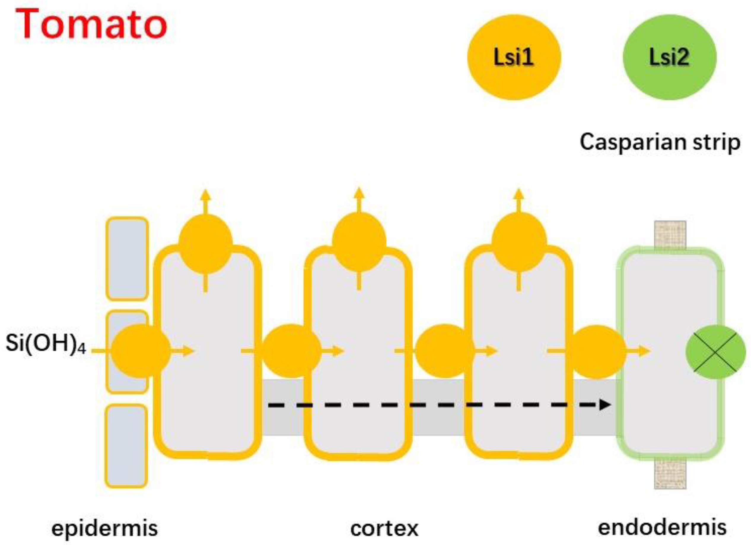 Applsci 12 03282 g004 Applsci 12 03282 g004