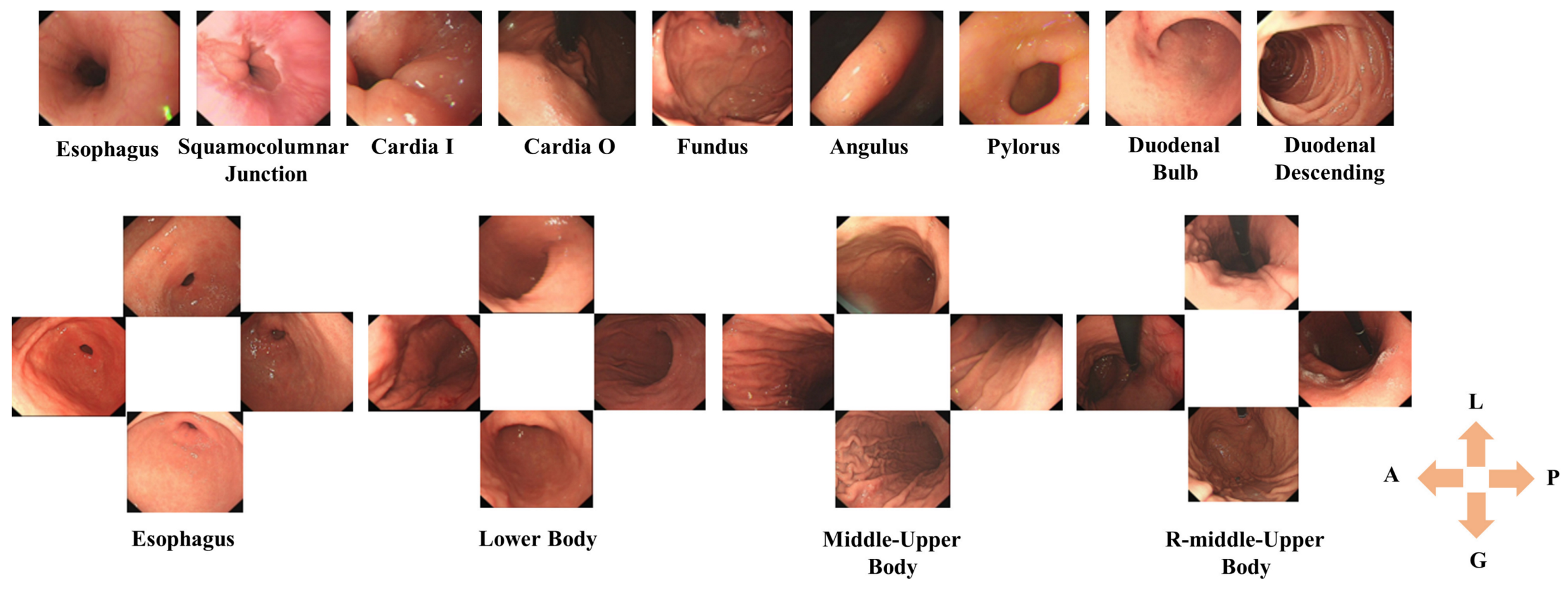 Applsci 12 03306 g002 550