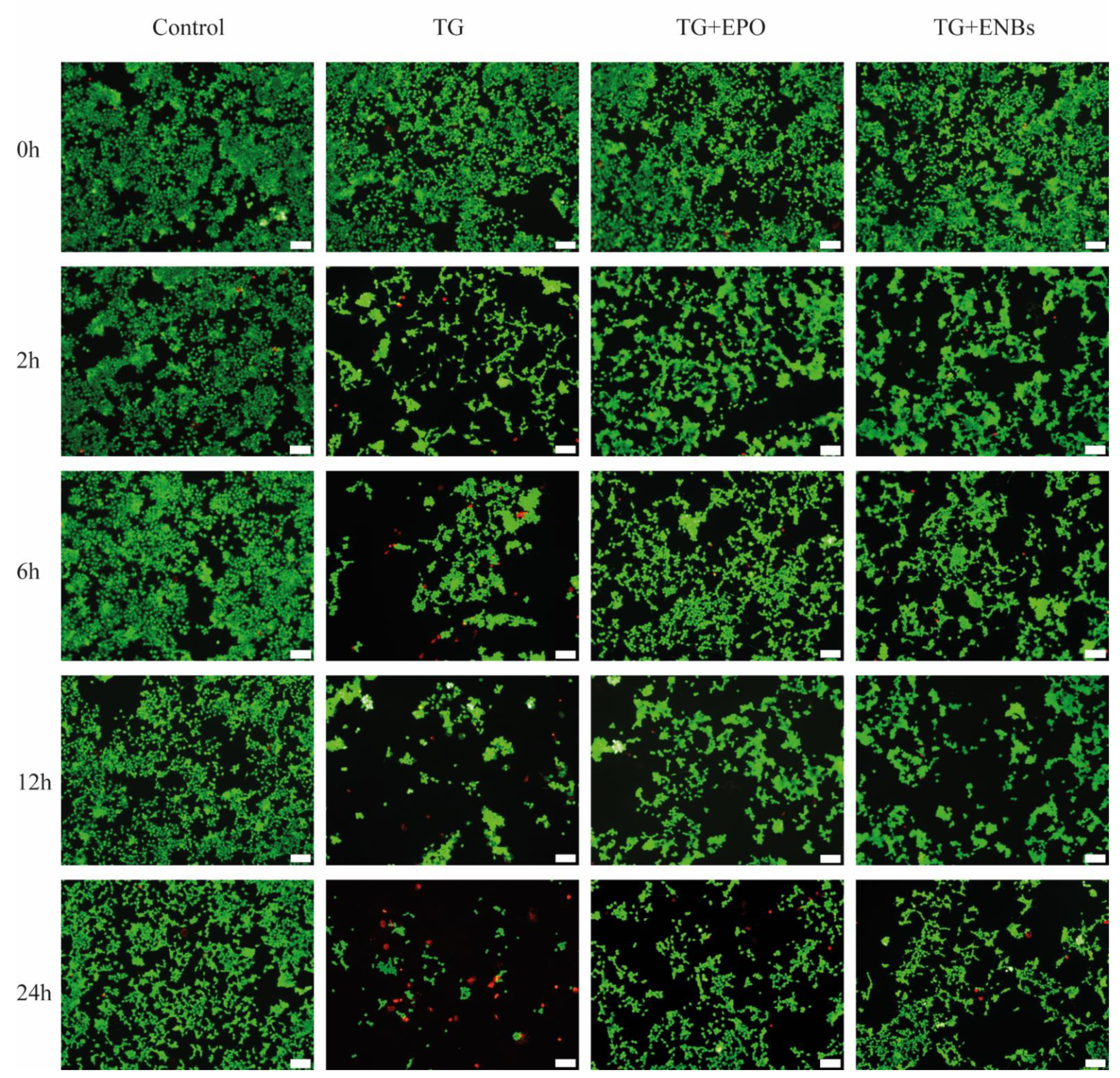 Applsci 12 03351 g002 Applsci 12 03351 g002