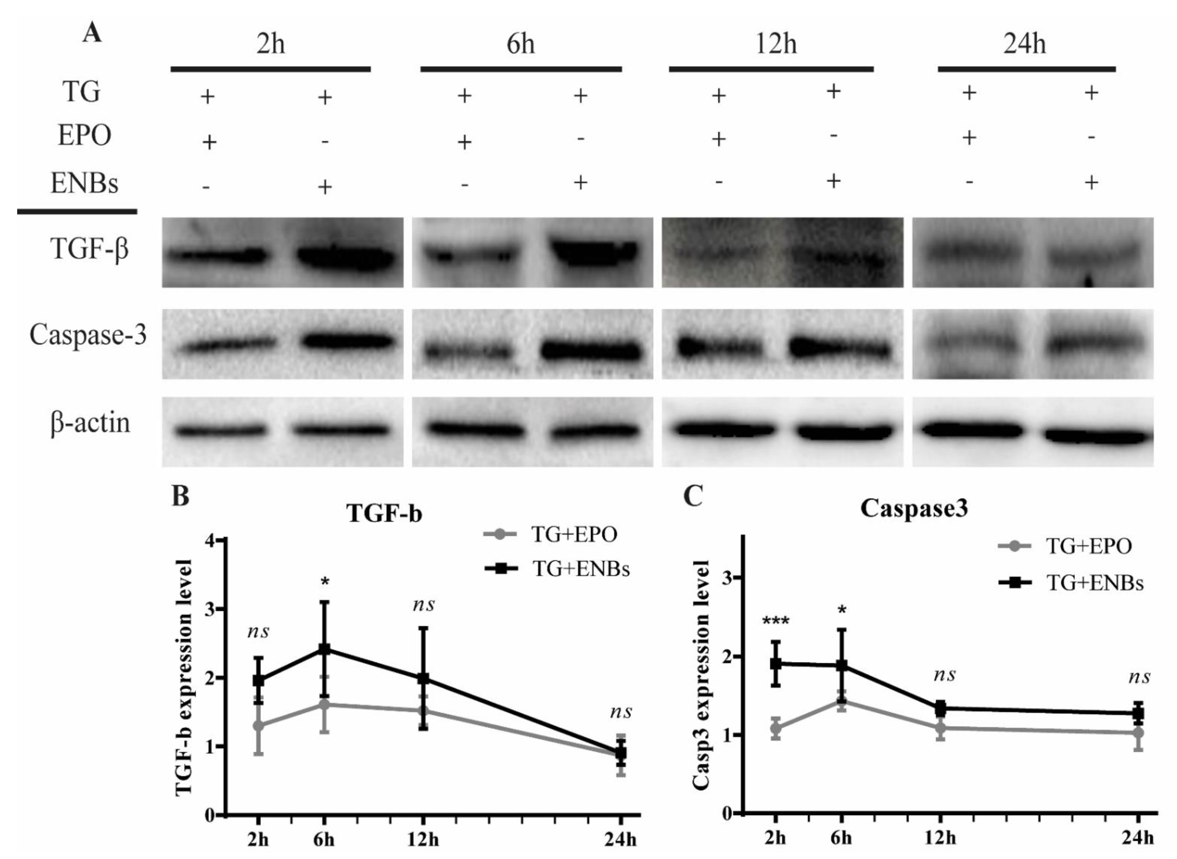 Applsci 12 03351 g006 Applsci 12 03351 g006