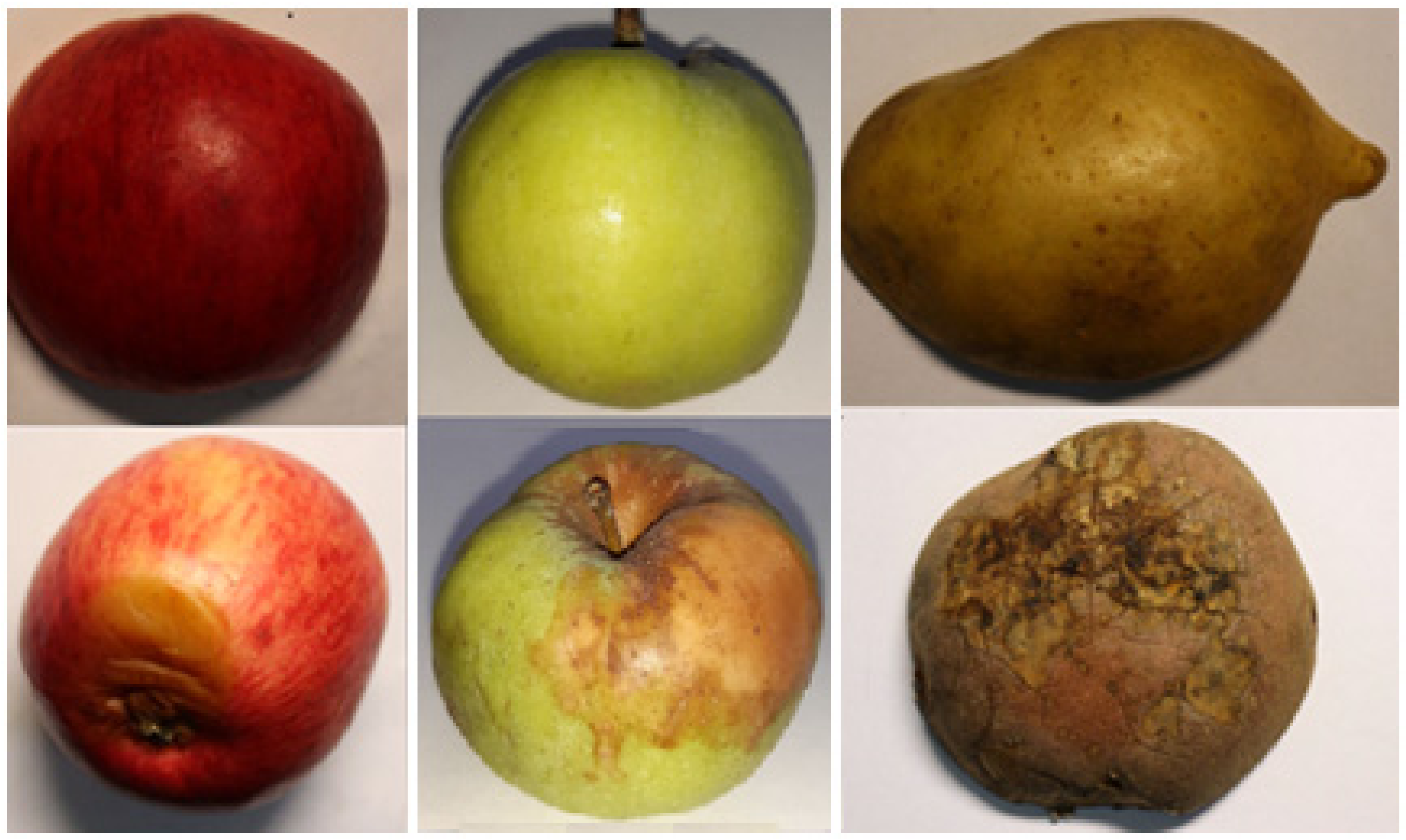 Applsci 12 03391 g004