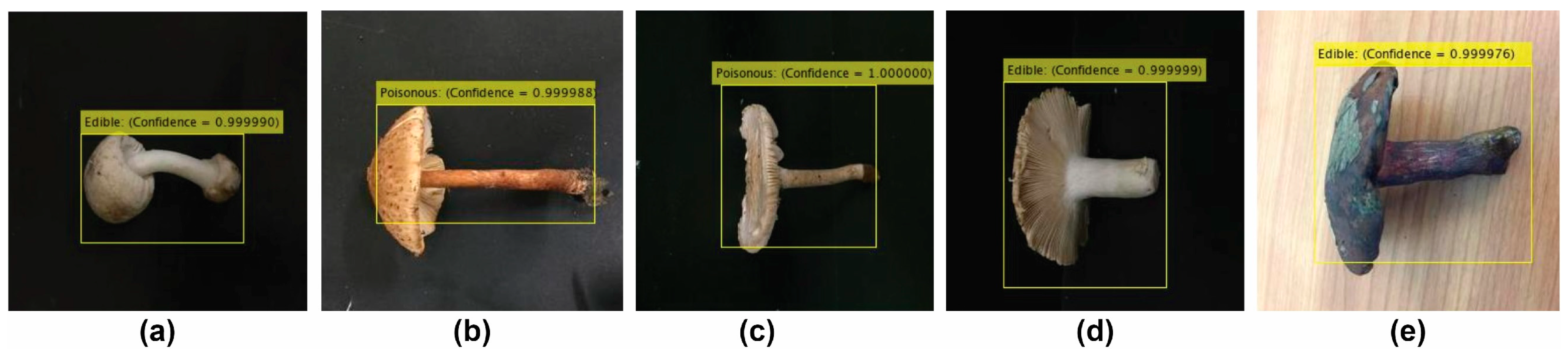 Applsci 12 03409 g015 550