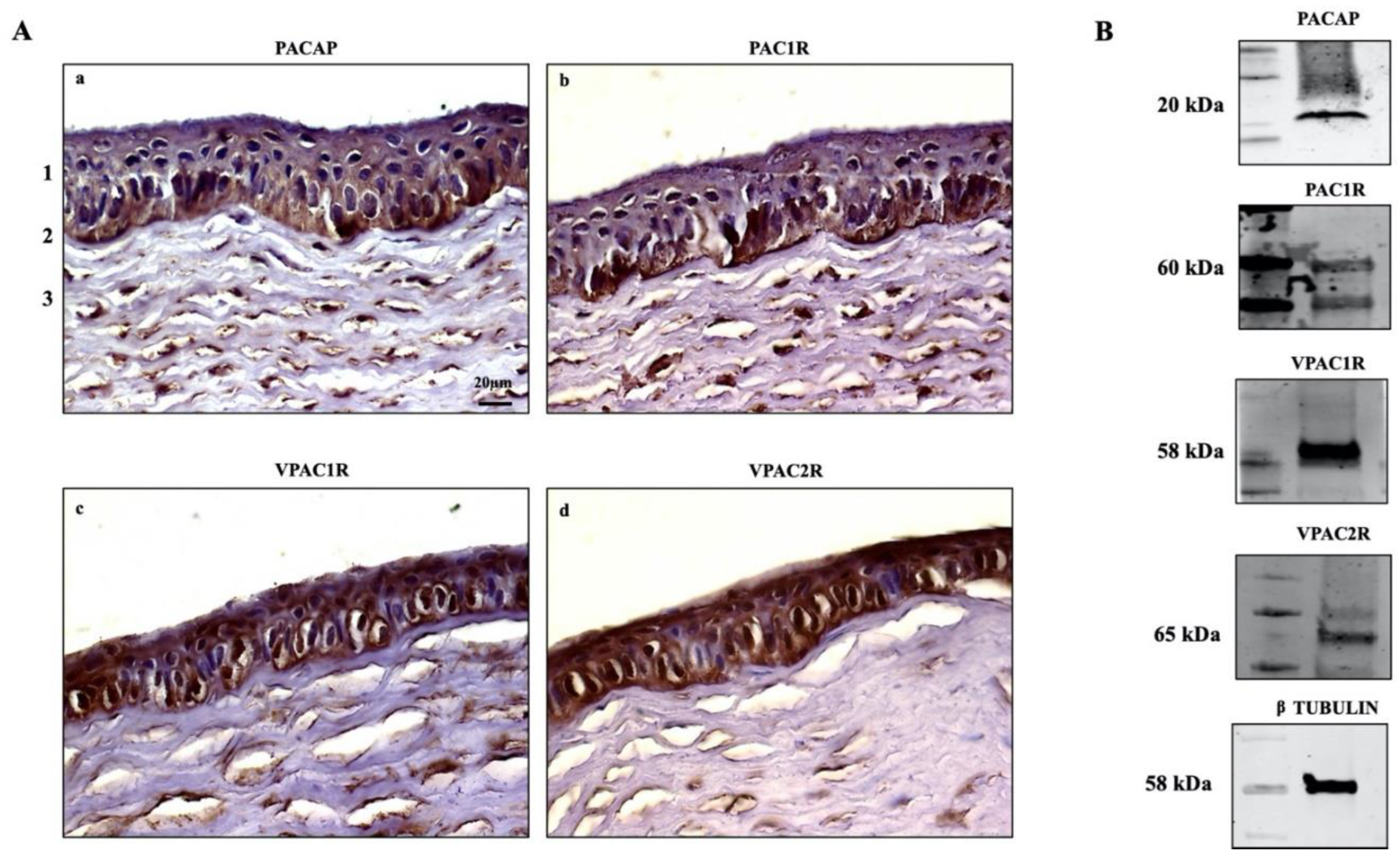 Applsci 12 03435 g001 Applsci 12 03435 g001