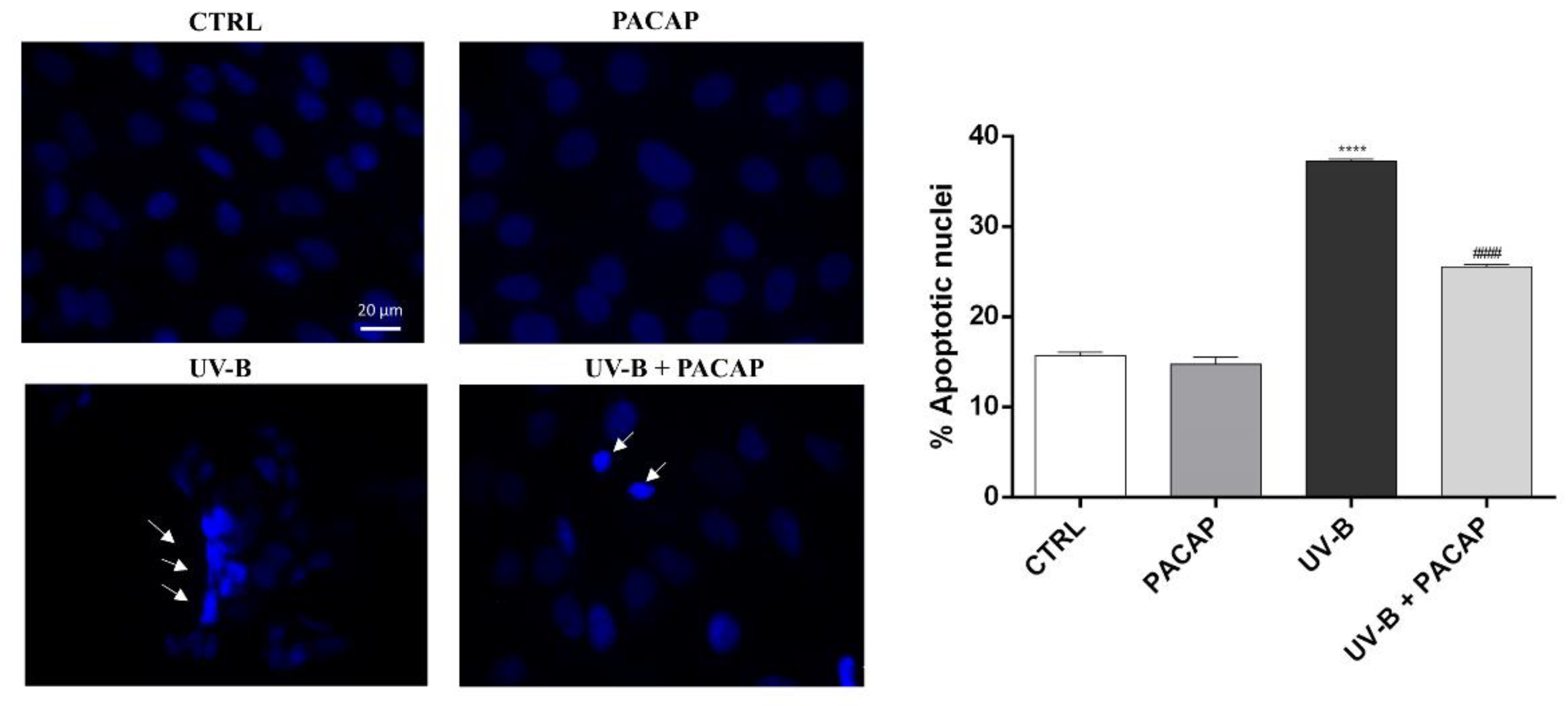 Applsci 12 03435 g003 Applsci 12 03435 g003