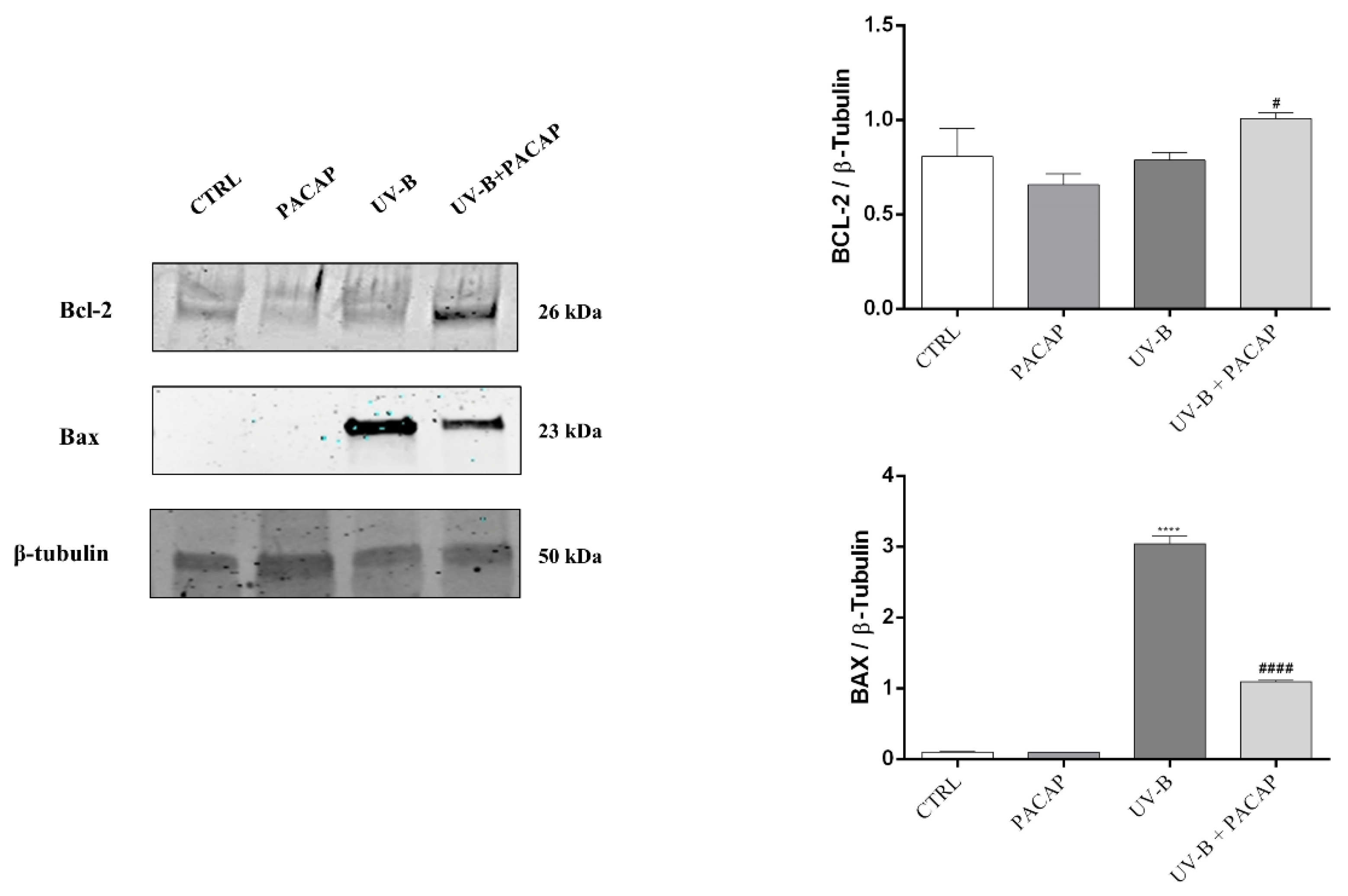Applsci 12 03435 g004 Applsci 12 03435 g004