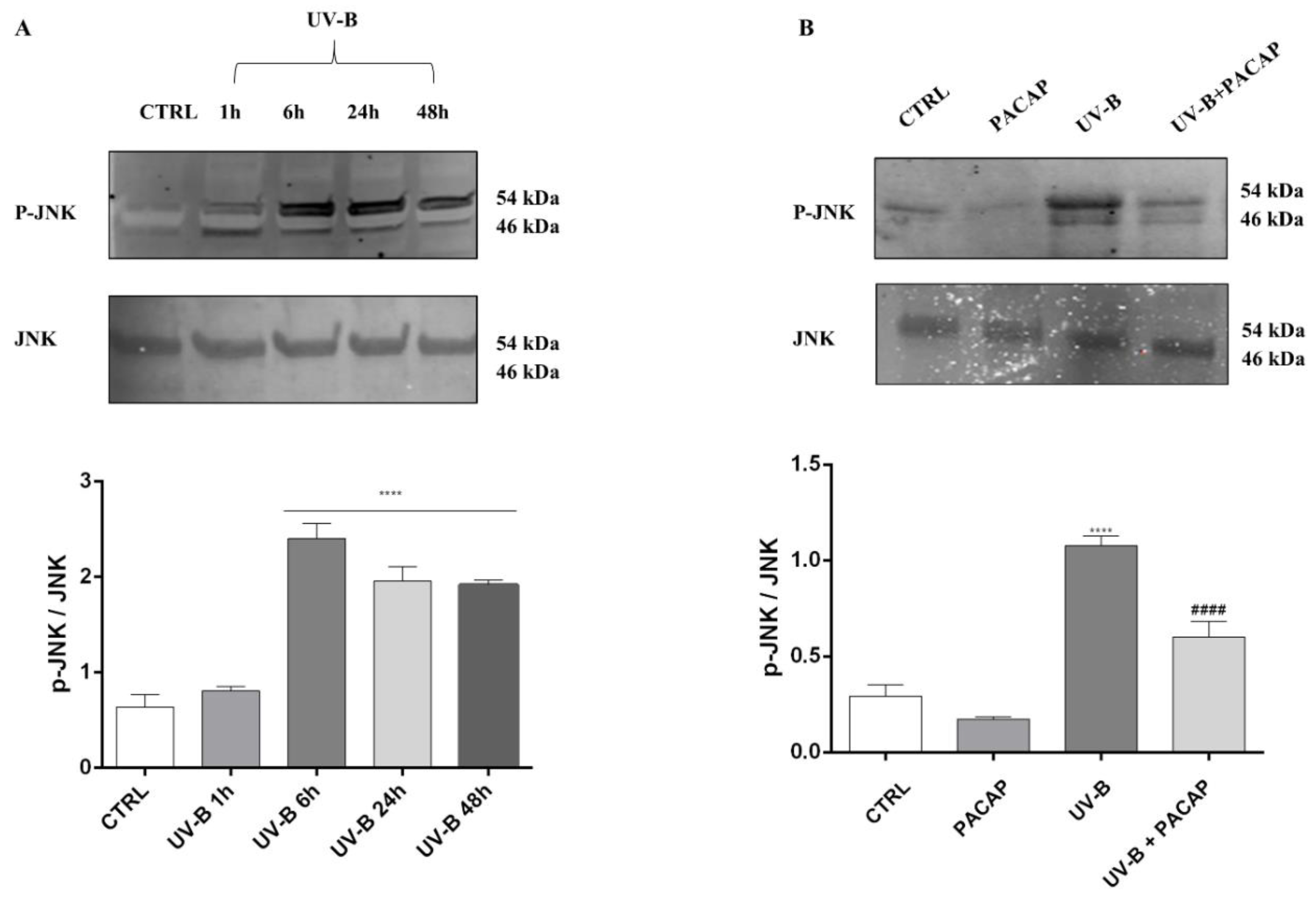 Applsci 12 03435 g006 Applsci 12 03435 g006