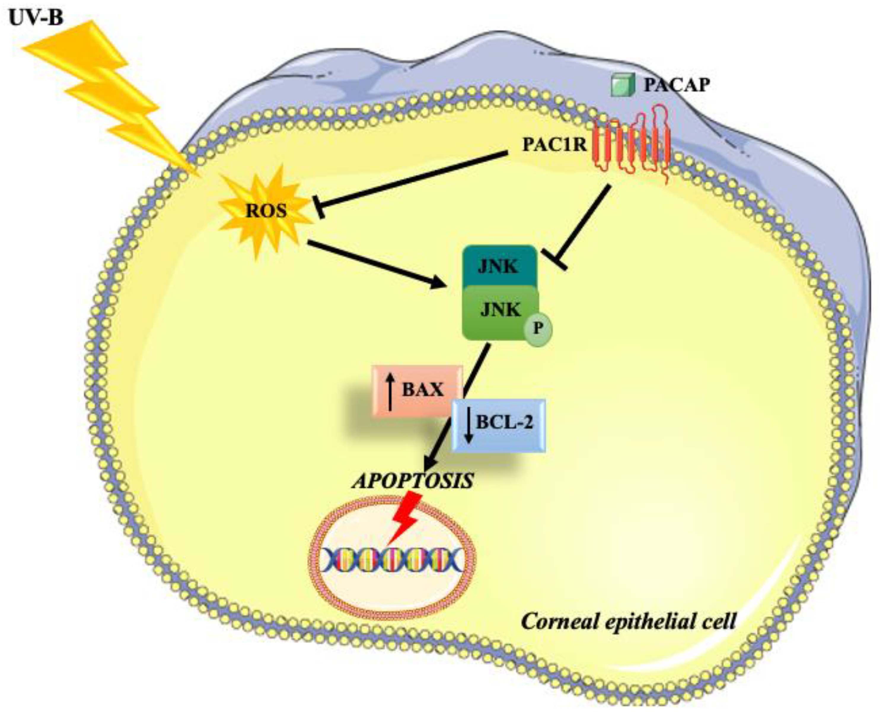Applsci 12 03435 g007 Applsci 12 03435 g007