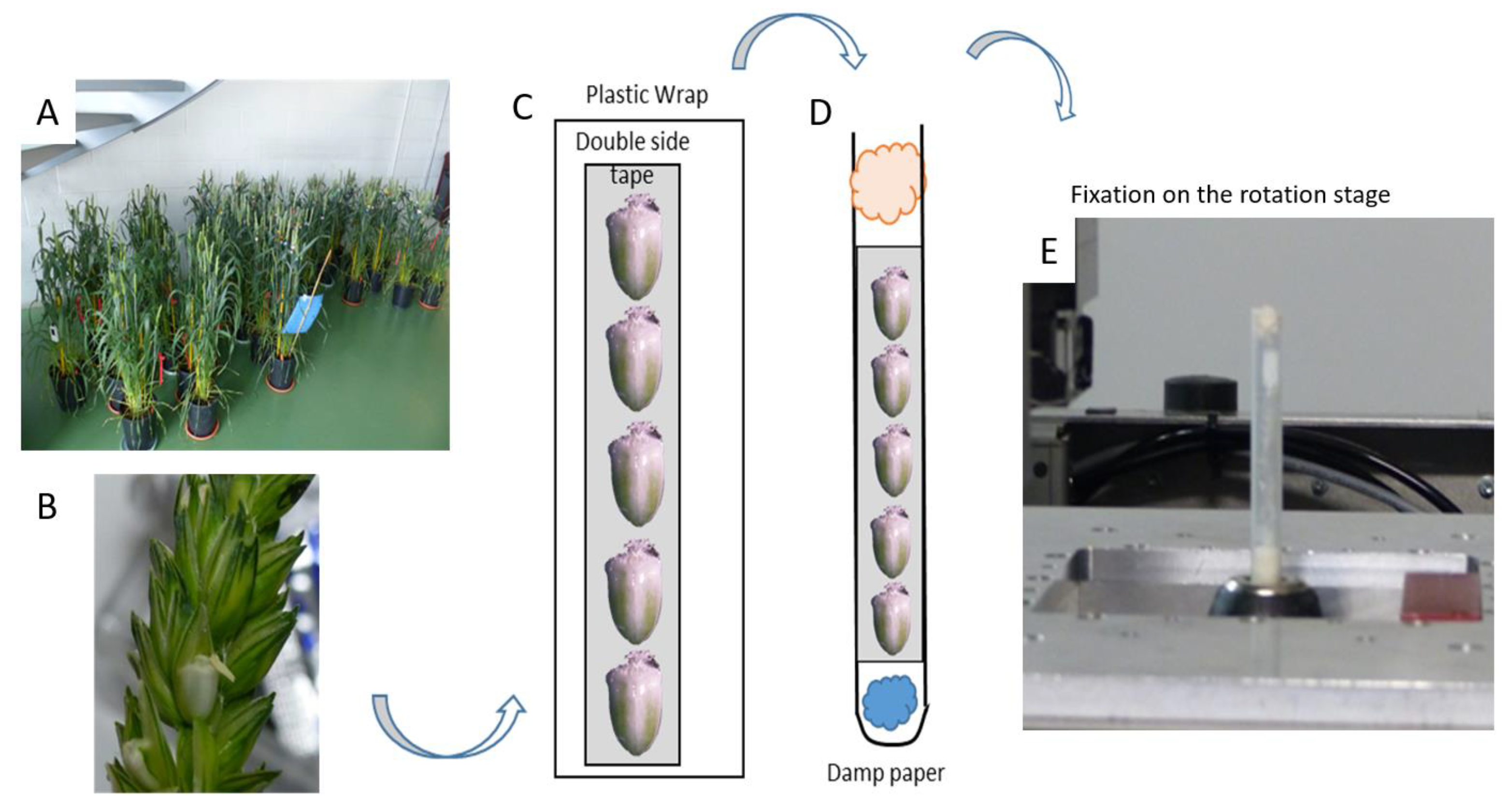 Applsci 12 03454 g001 550