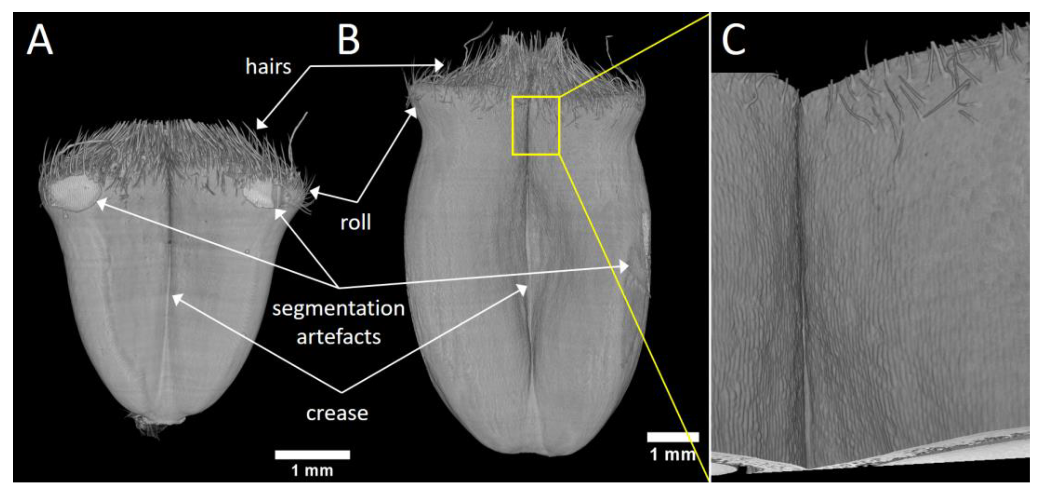 Applsci 12 03454 g003 550