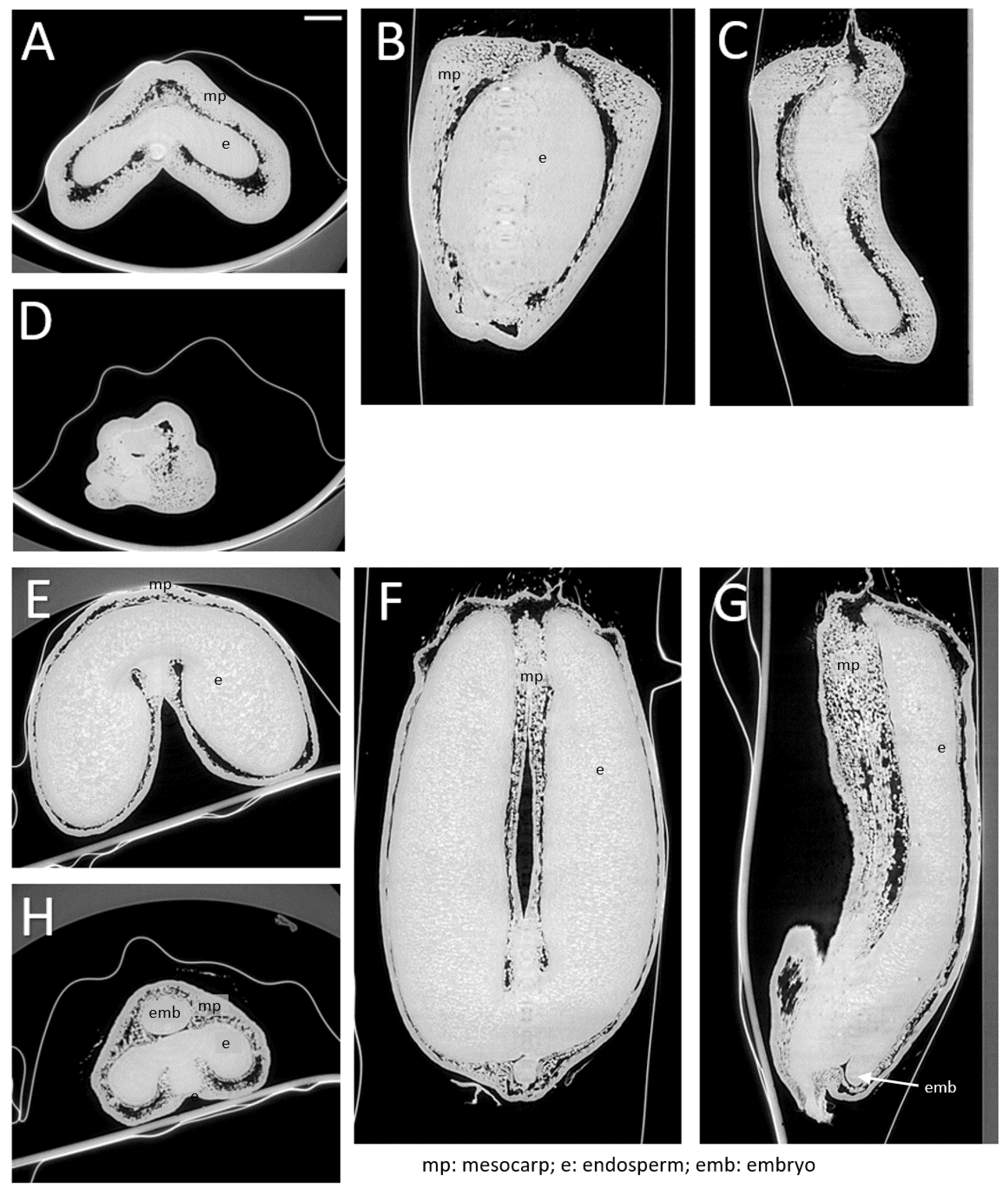 Applsci 12 03454 g004 550